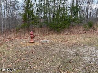 Buckeye Lane Crawford TN 38554