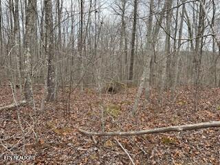 Buckeye Lane Crawford TN 38554