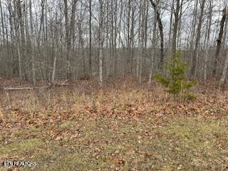 Buckeye Lane Crawford TN 38554