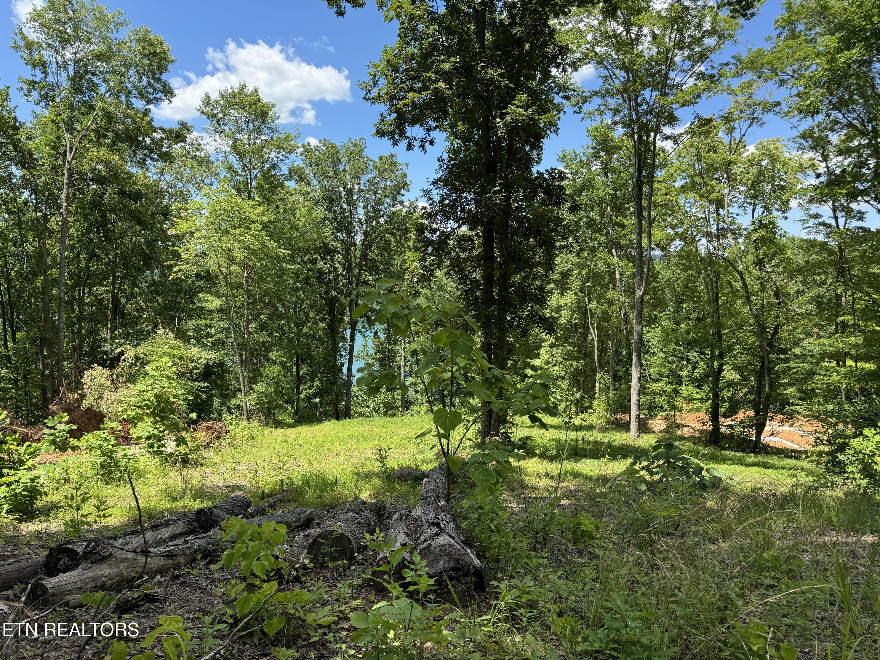 158 S Cove Road Maynardville TN 37807