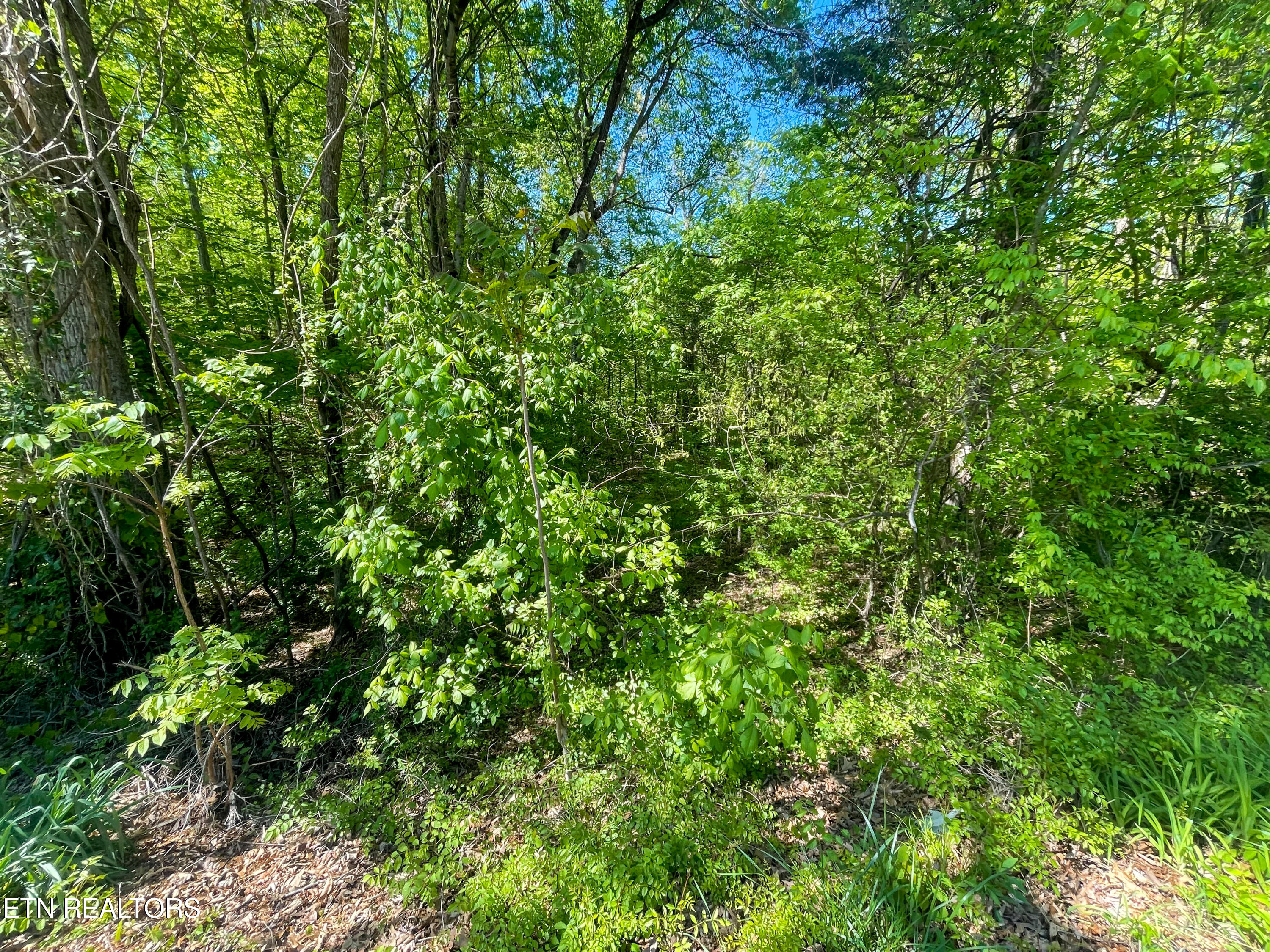 Lot 13r1 Pleasure Road Sevierville TN 37876