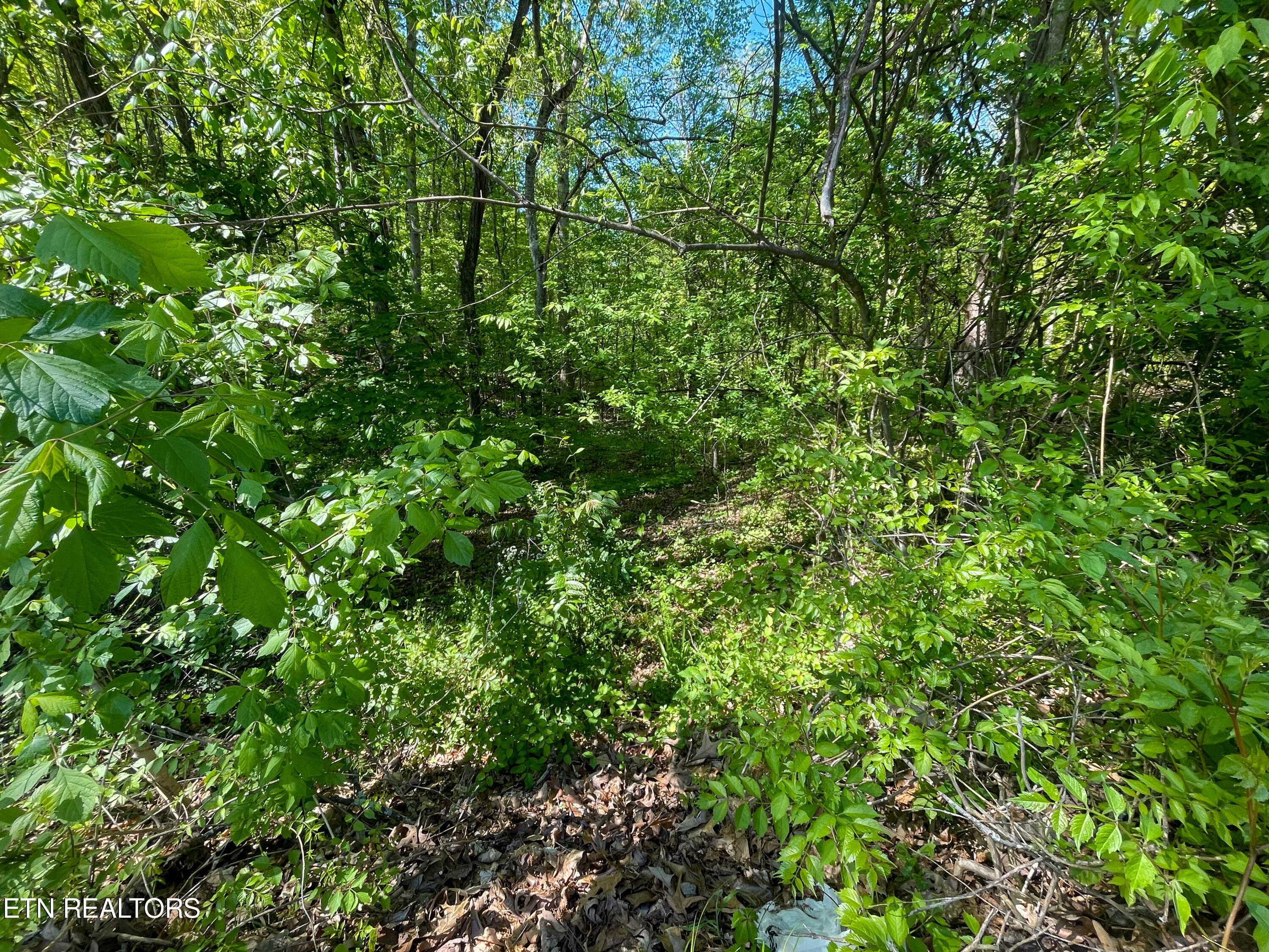 Lot 13r1 Pleasure Road Sevierville TN 37876