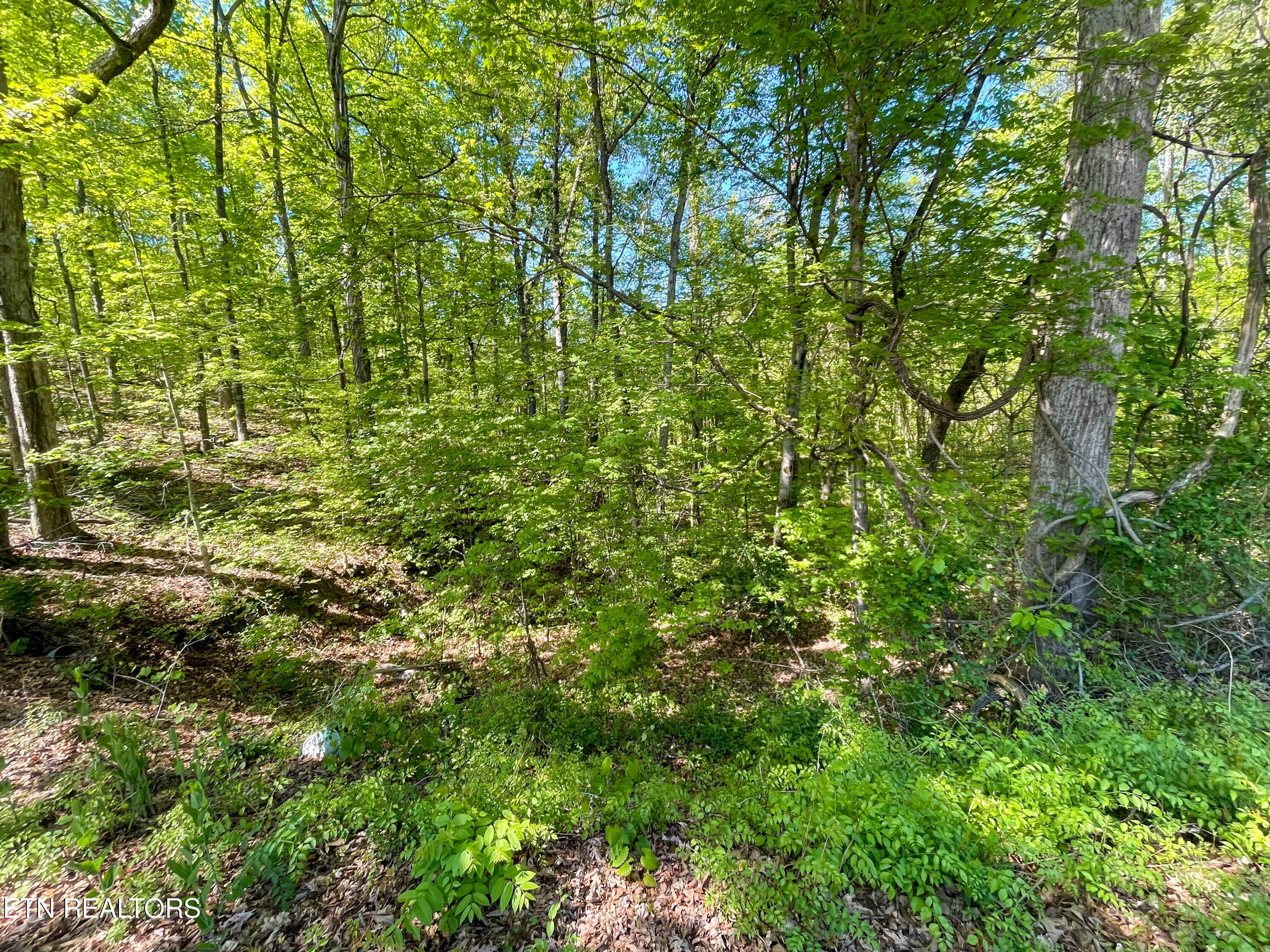 Lot 13r1 Pleasure Road Sevierville TN 37876