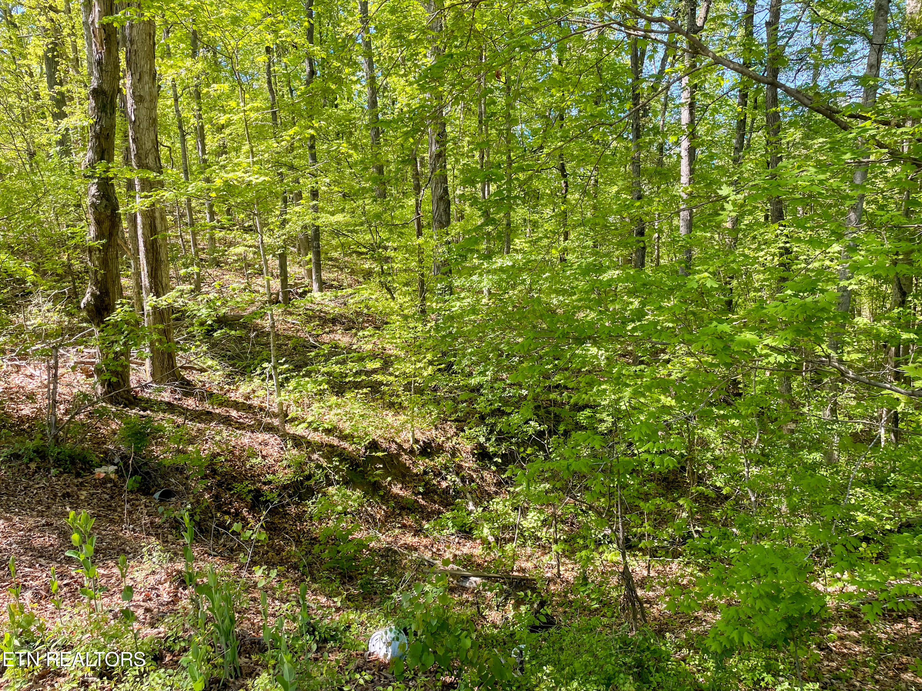 Lot 13r1 Pleasure Road Sevierville TN 37876