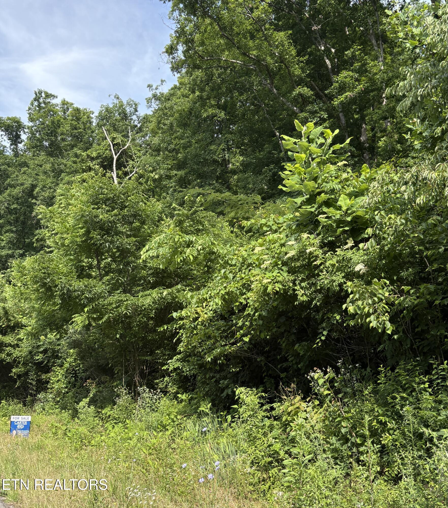 5787 Highway 297 Pioneer TN 37847