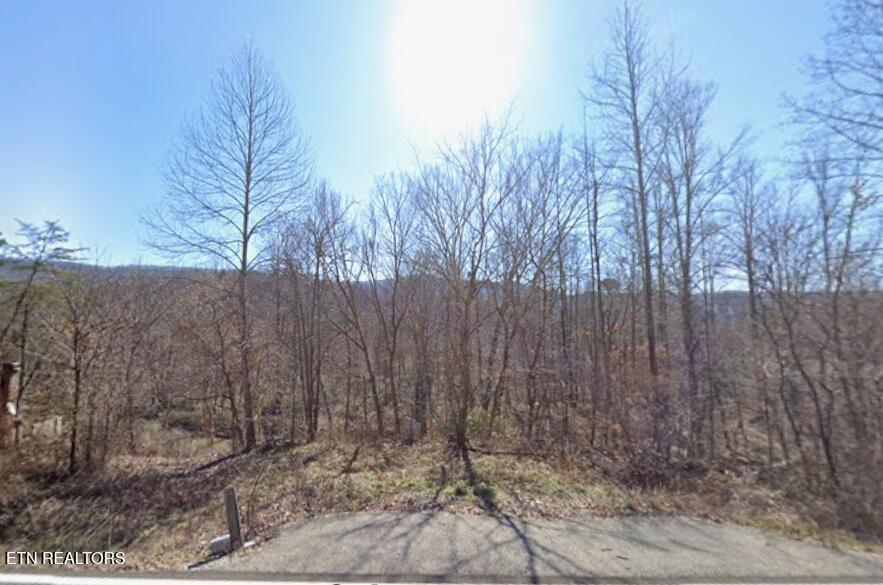 5787 Highway 297 Pioneer TN 37847