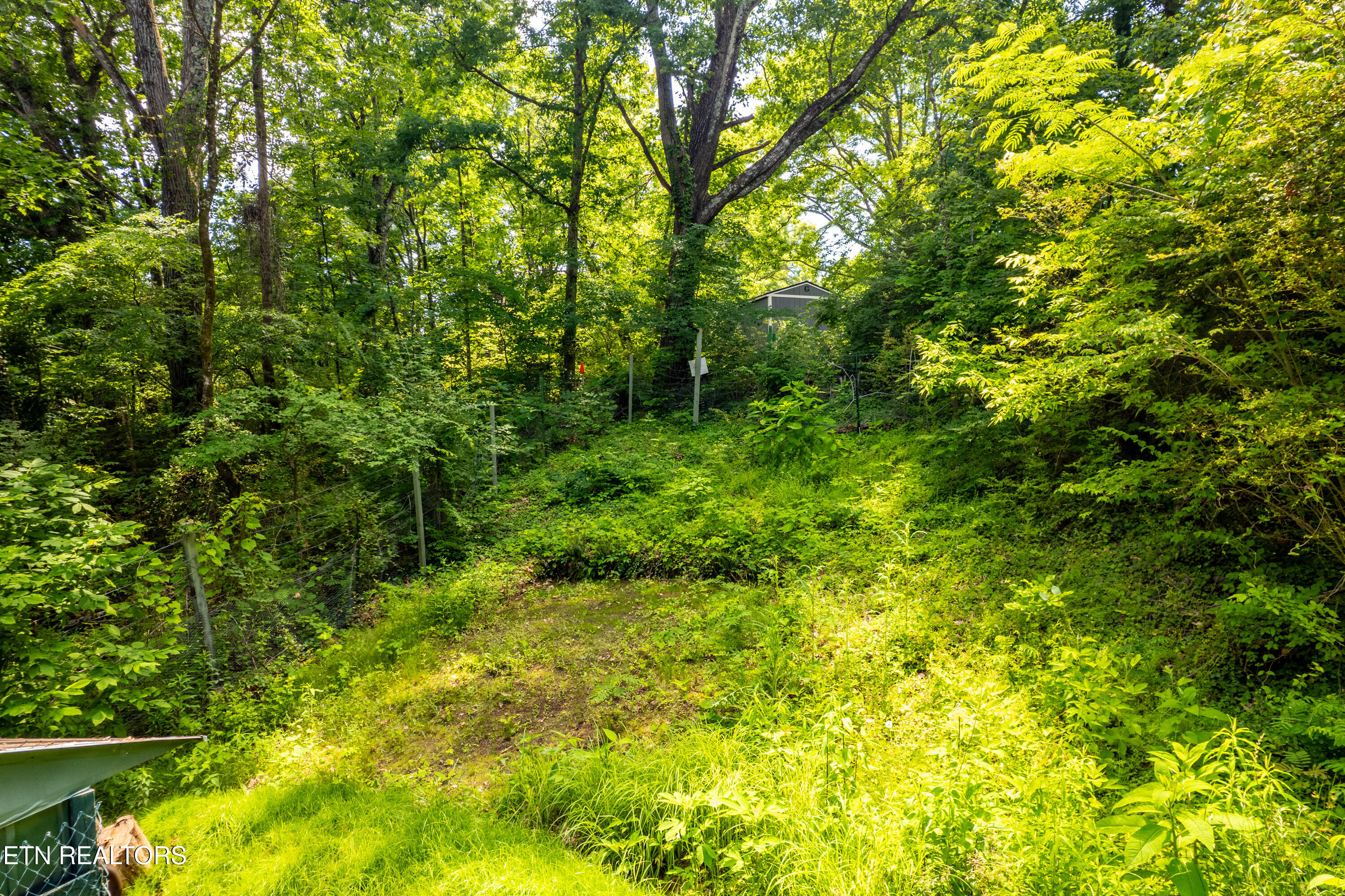 3411 Divide Street Knoxville TN 37921