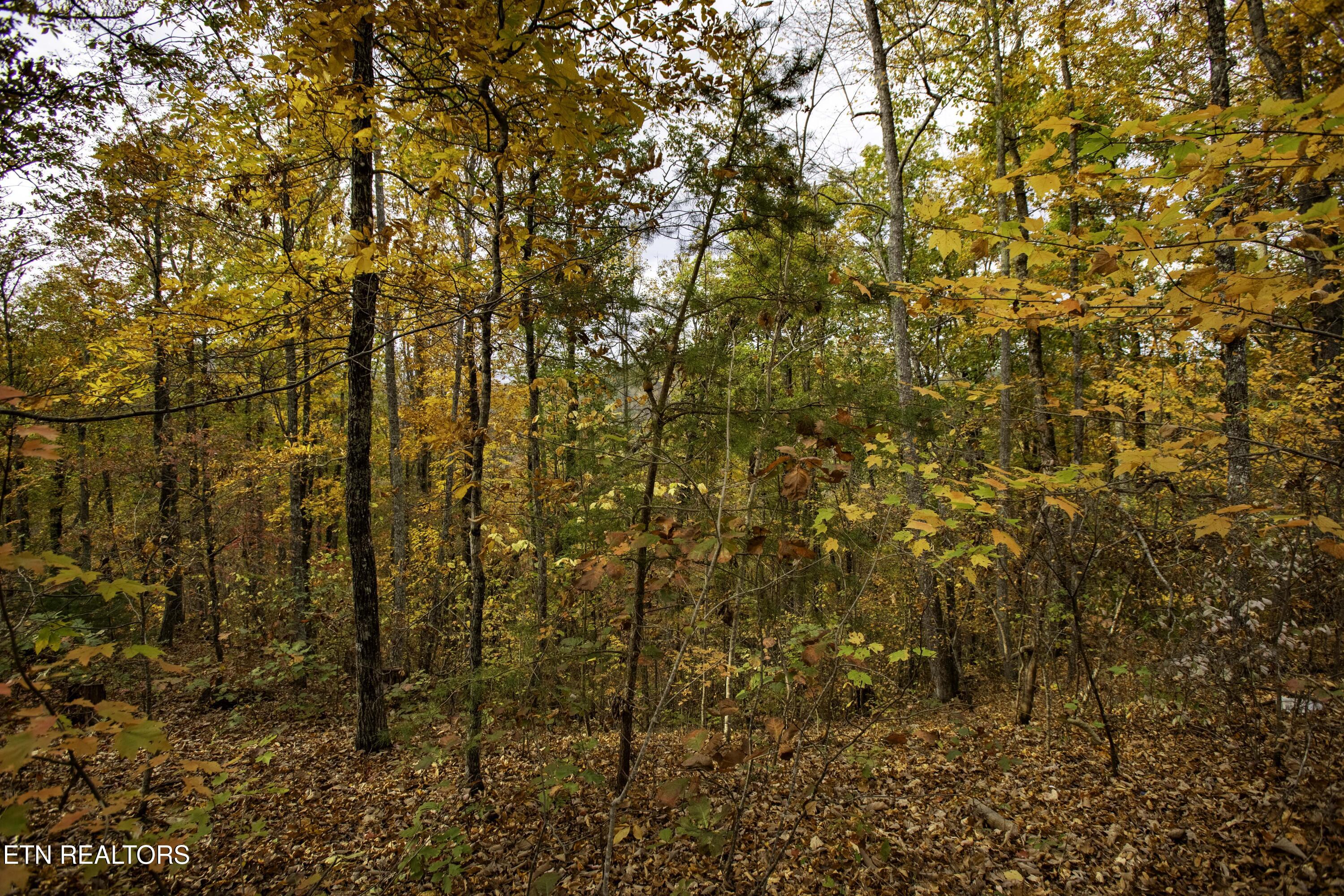 King Branch Road Sevierville TN 37876