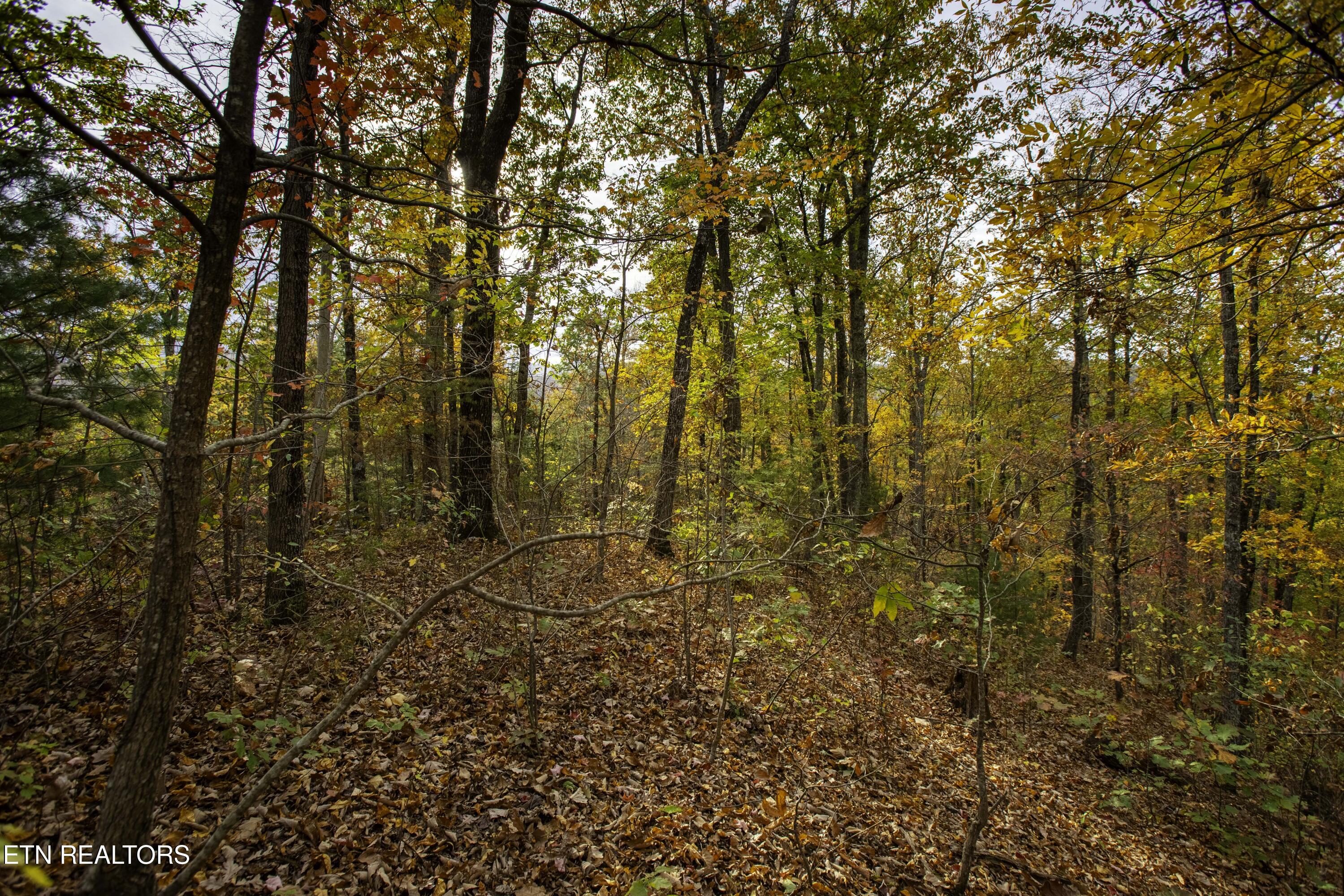 King Branch Road Sevierville TN 37876