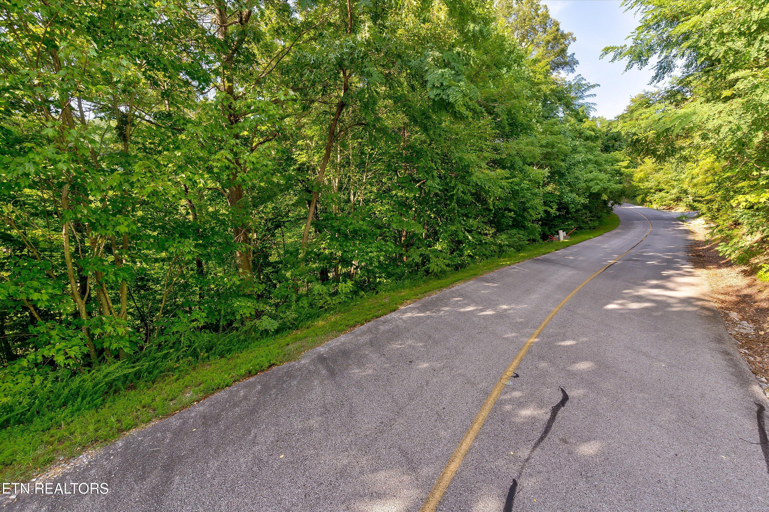 Lot 64e Redtail Road Sevierville TN 37862