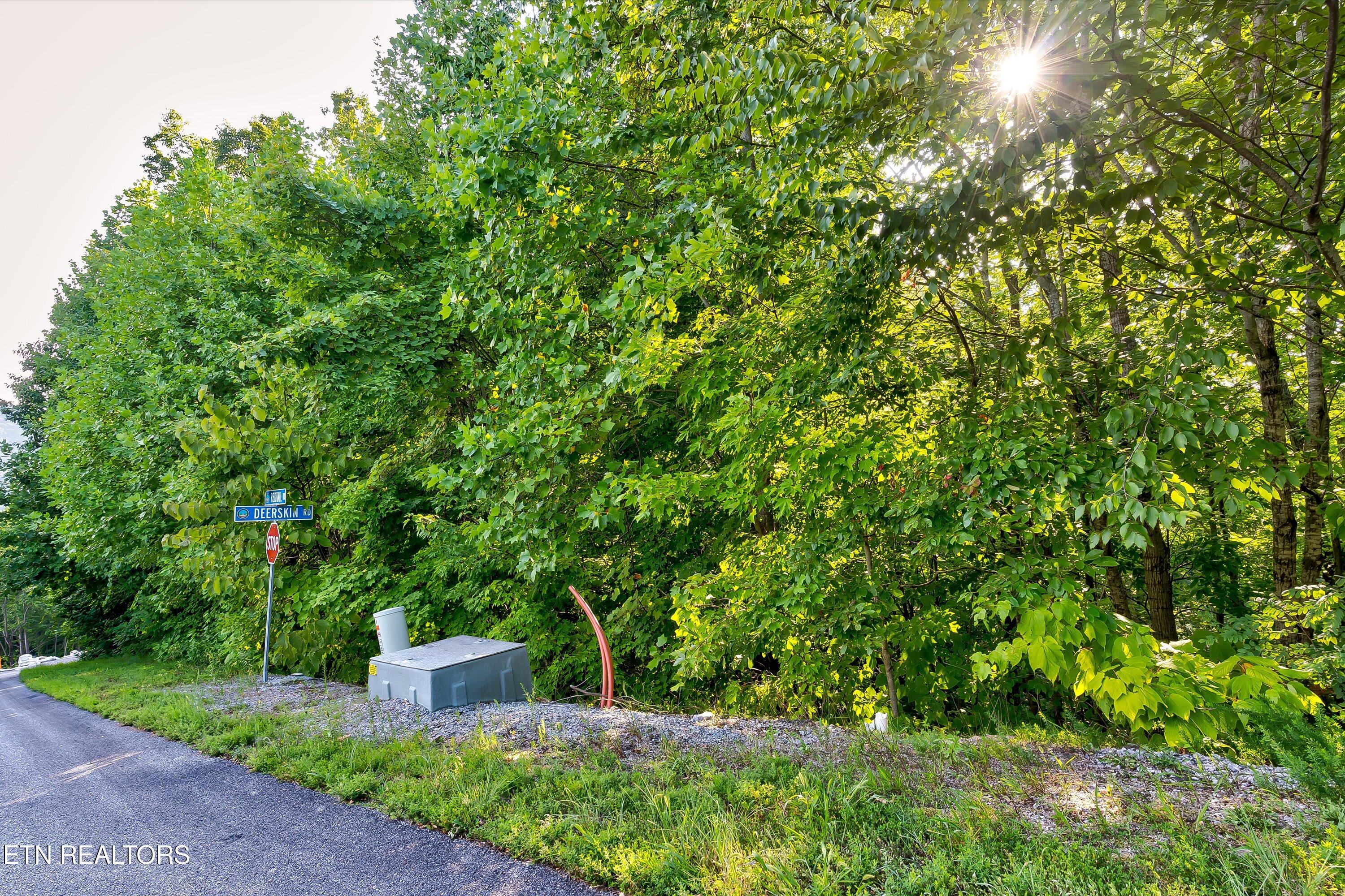 Lot 64e Redtail Road Sevierville TN 37862
