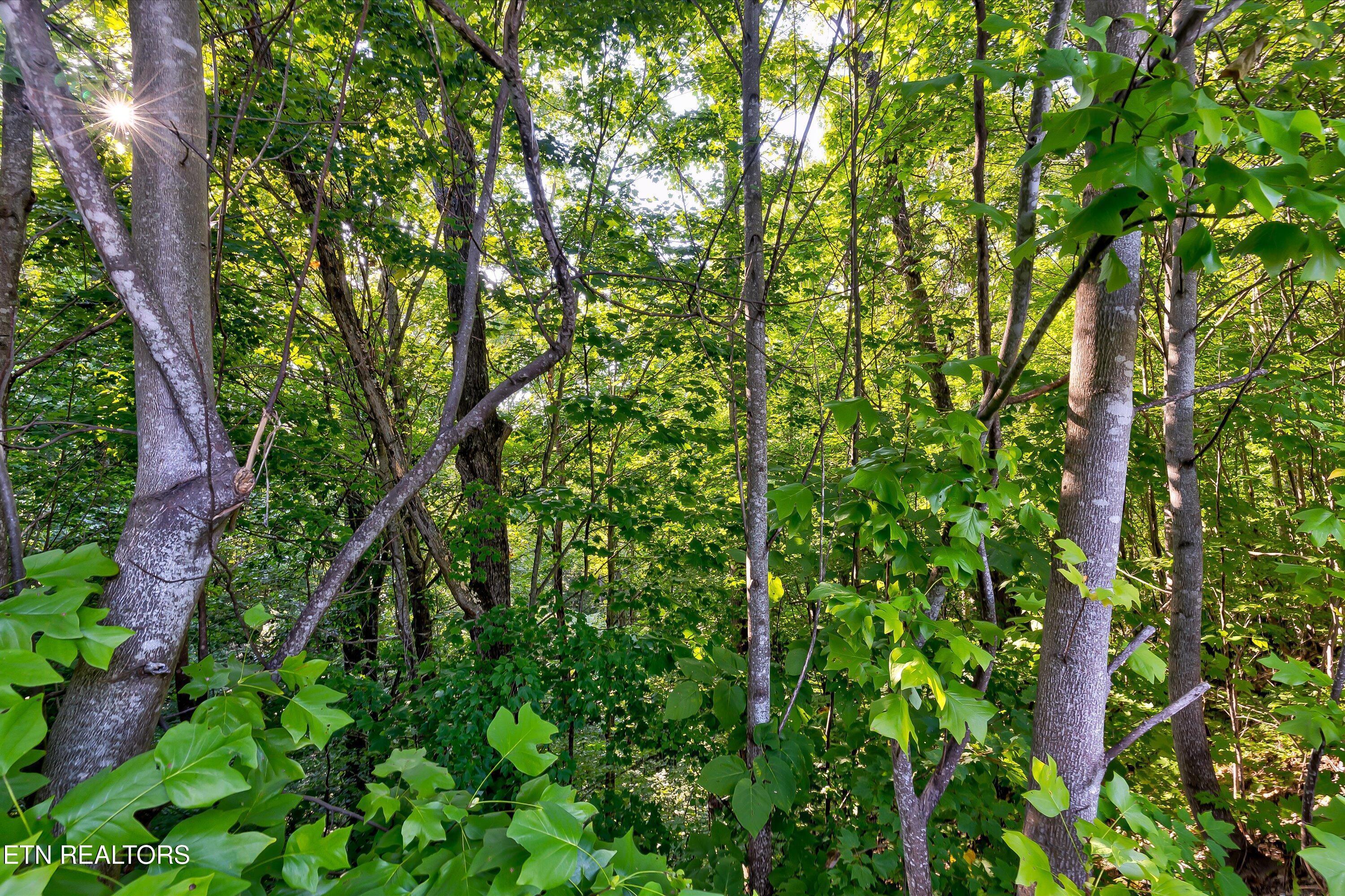 Lot 64e Redtail Road Sevierville TN 37862