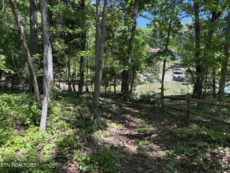 E Shore Drive Rockwood TN 37854