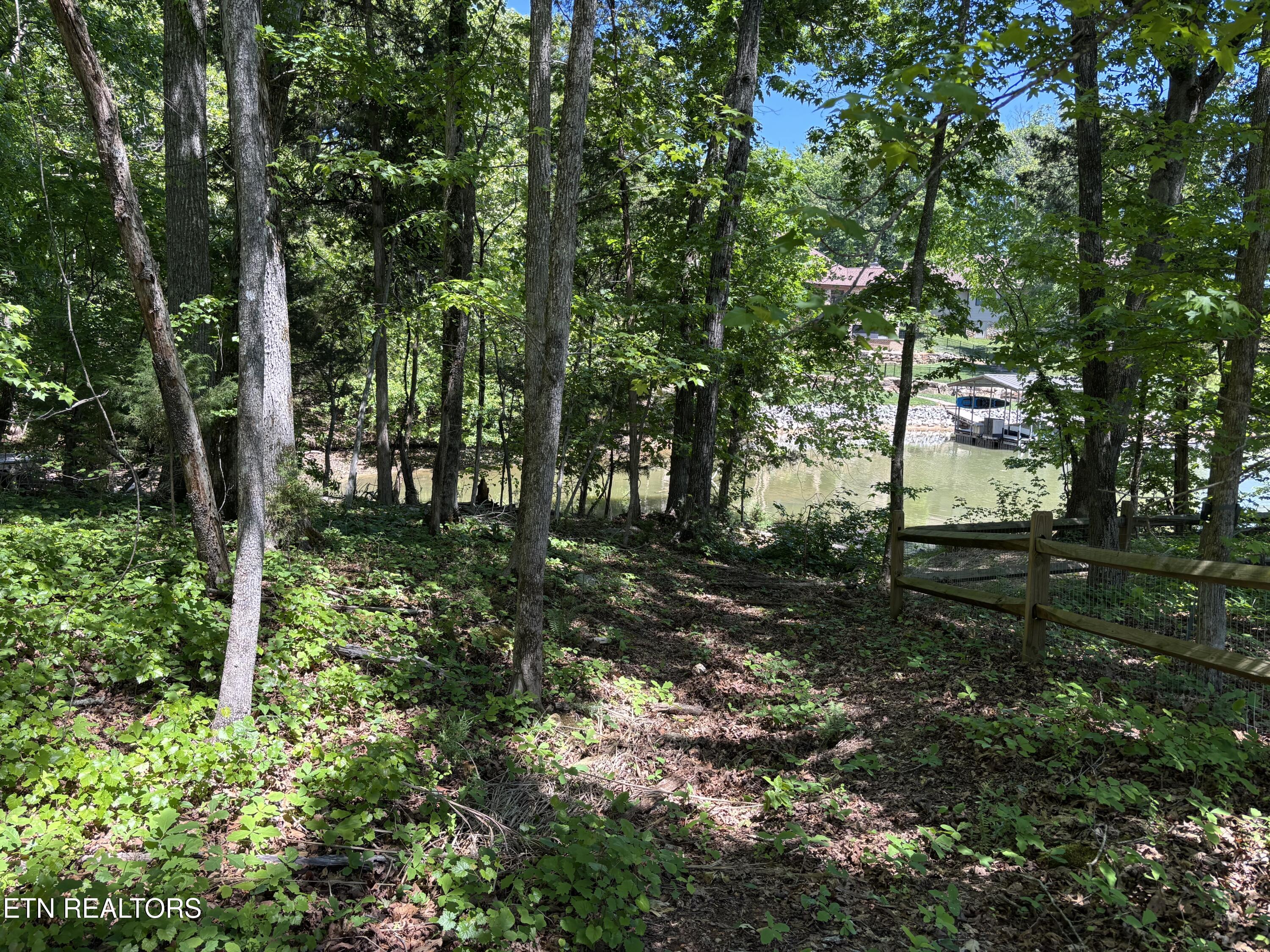E Shore Drive Rockwood TN 37854