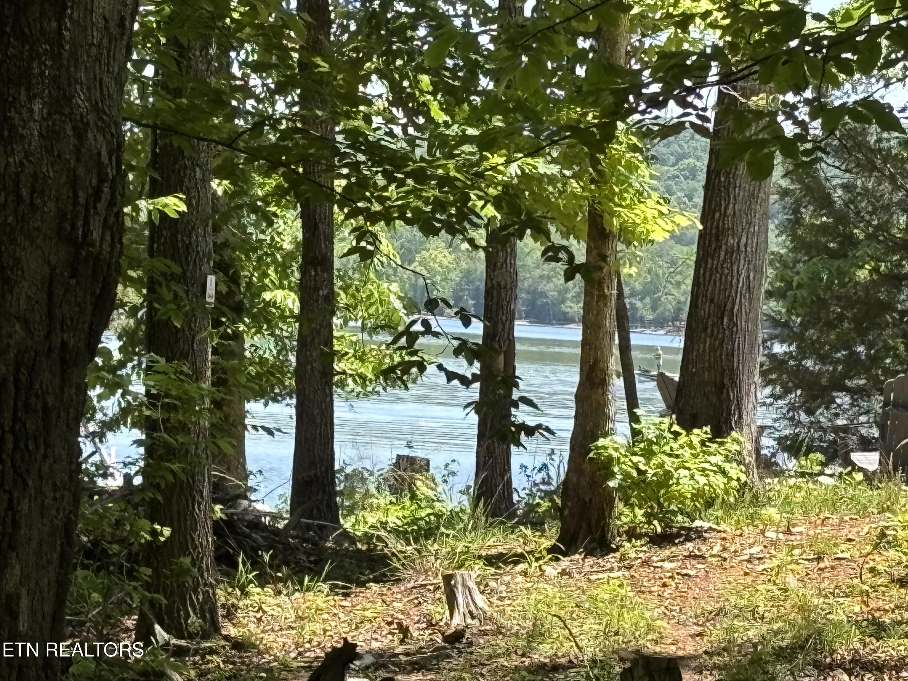 E Shore Drive Rockwood TN 37854