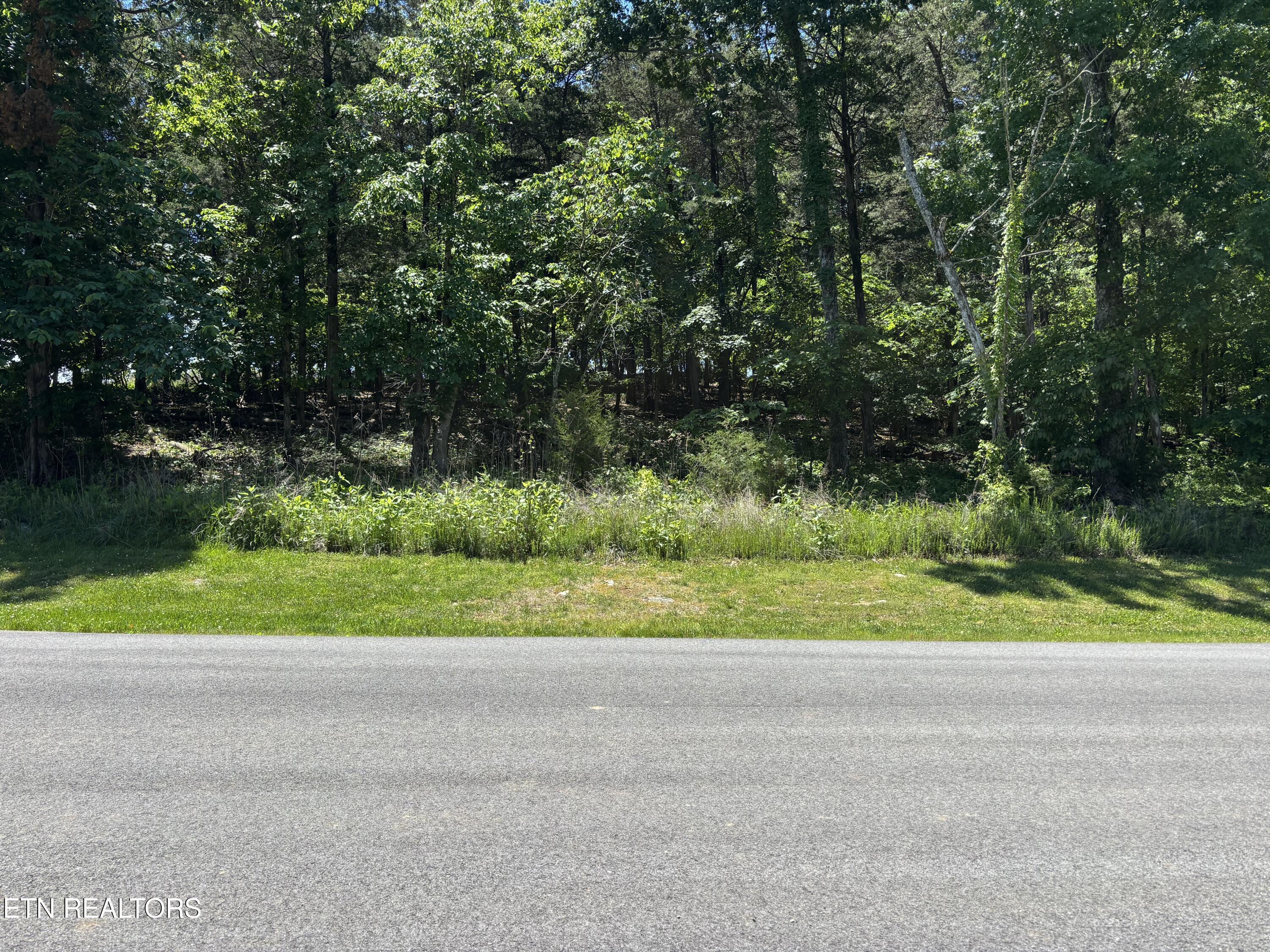 E Shore Drive Rockwood TN 37854