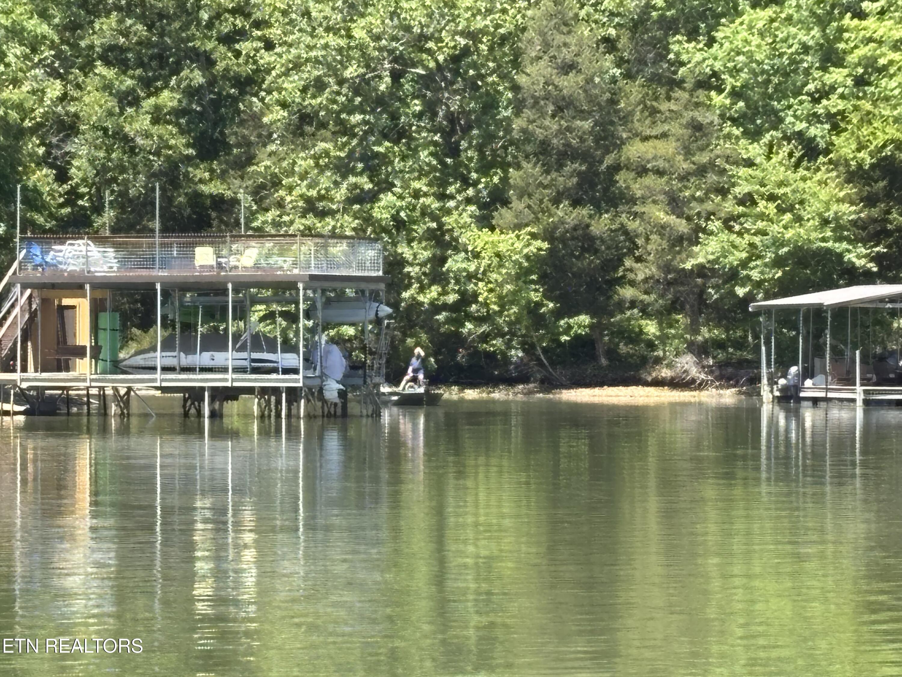 E Shore Drive Rockwood TN 37854