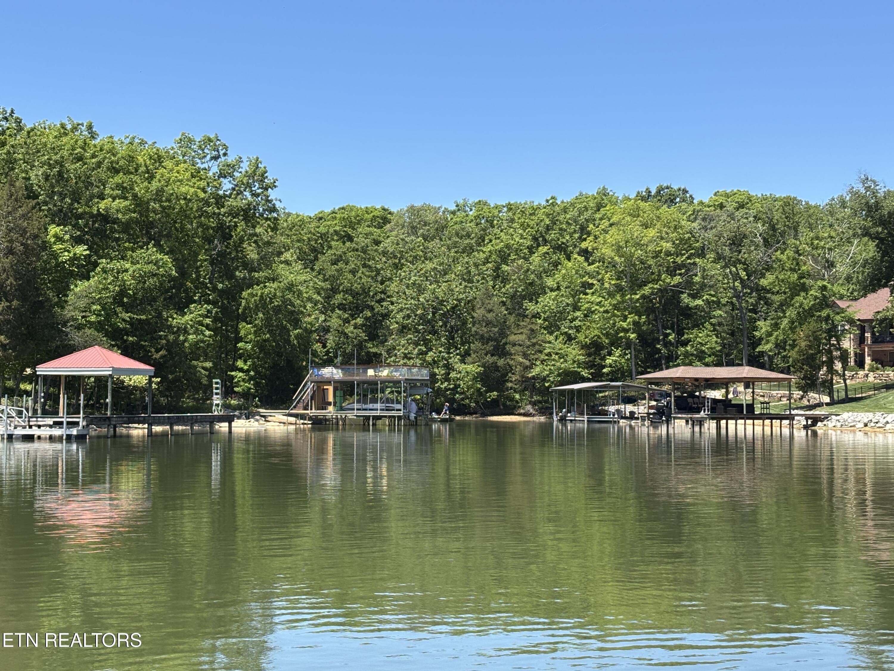 E Shore Drive Rockwood TN 37854