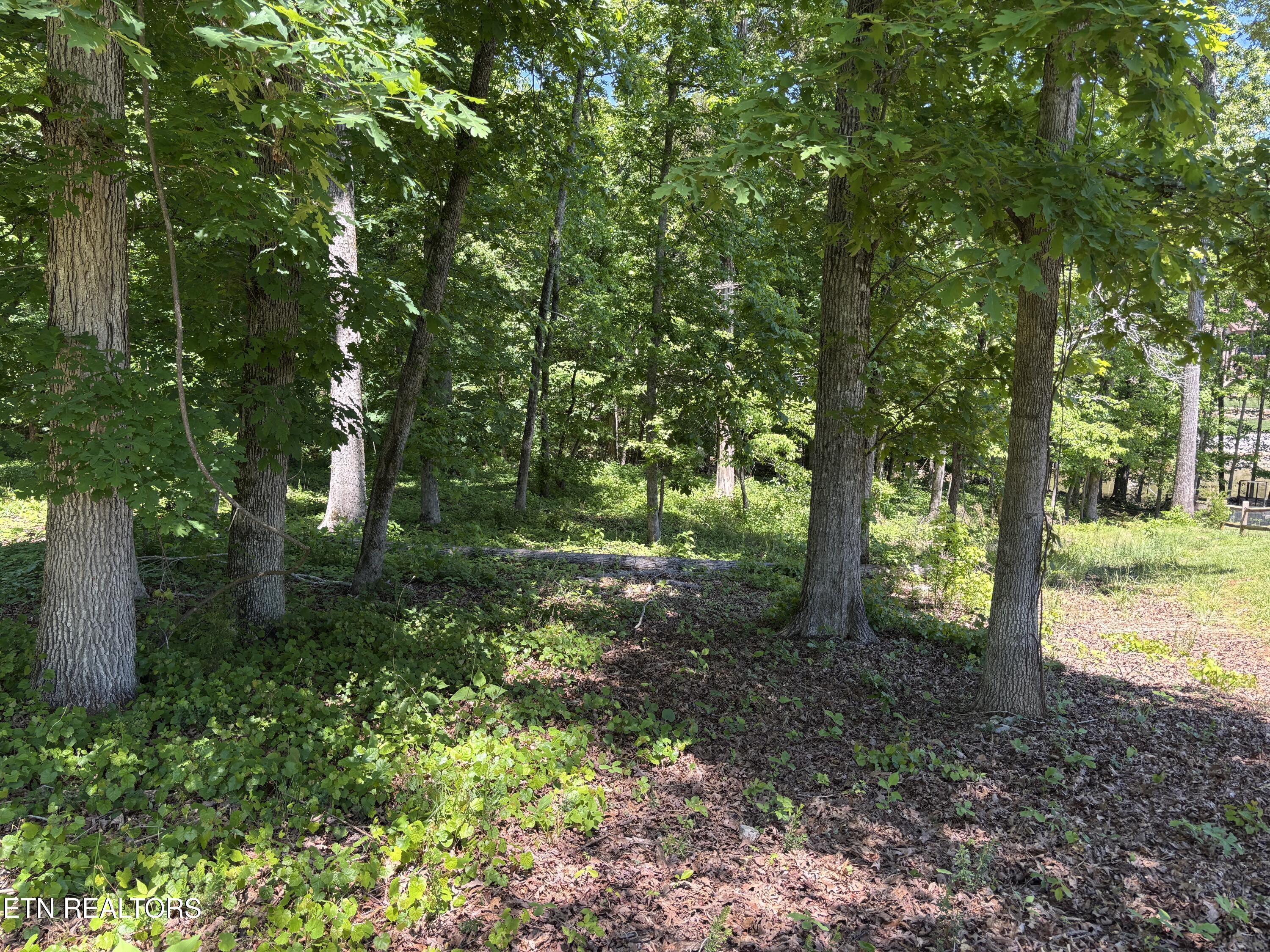 E Shore Drive Rockwood TN 37854