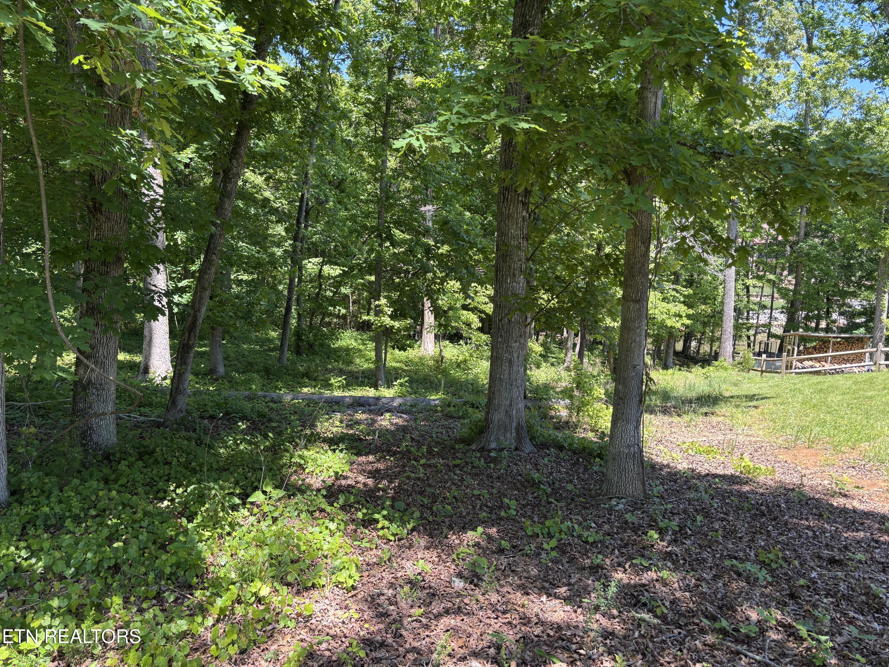 E Shore Drive Rockwood TN 37854