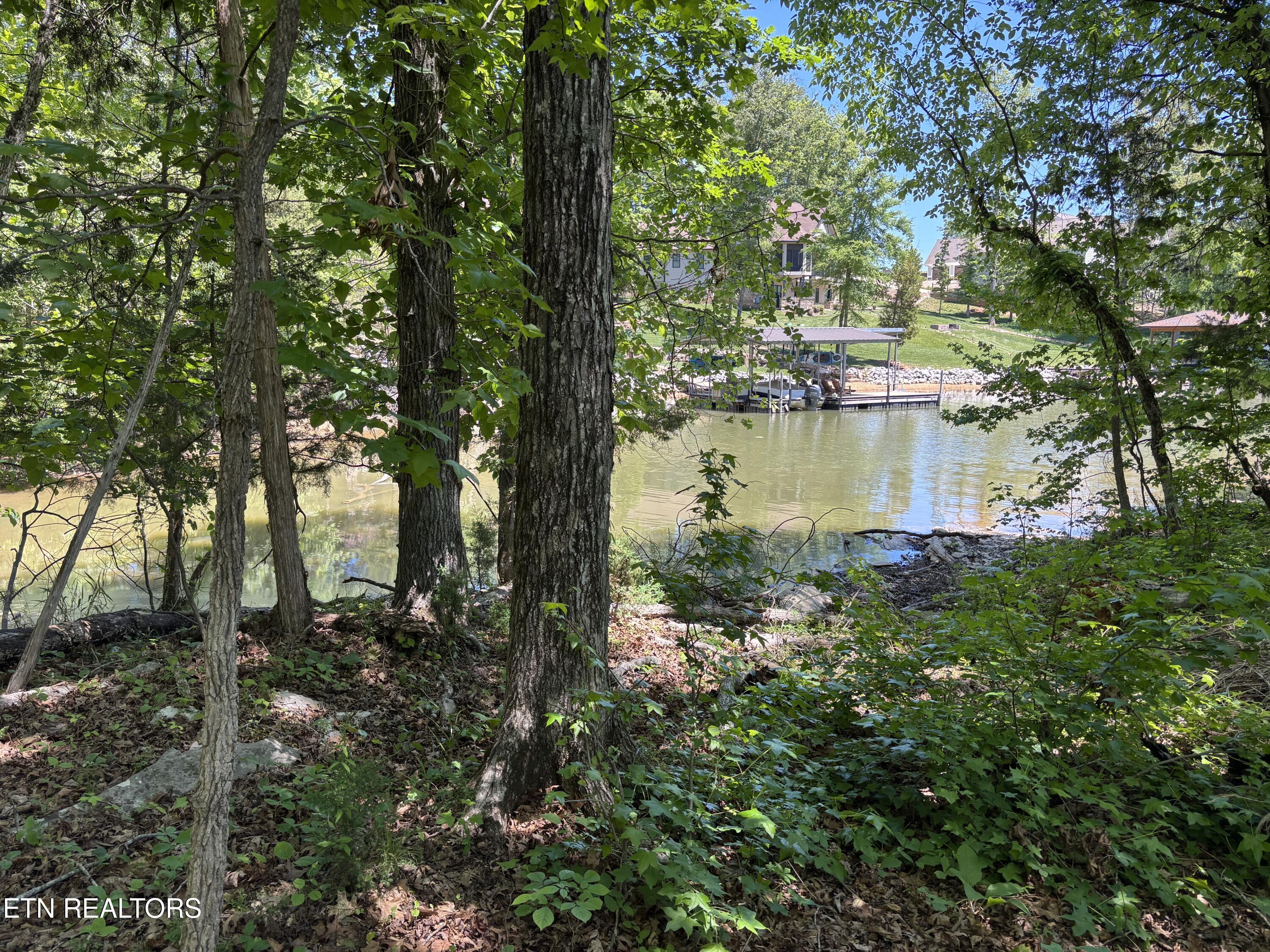 E Shore Drive Rockwood TN 37854