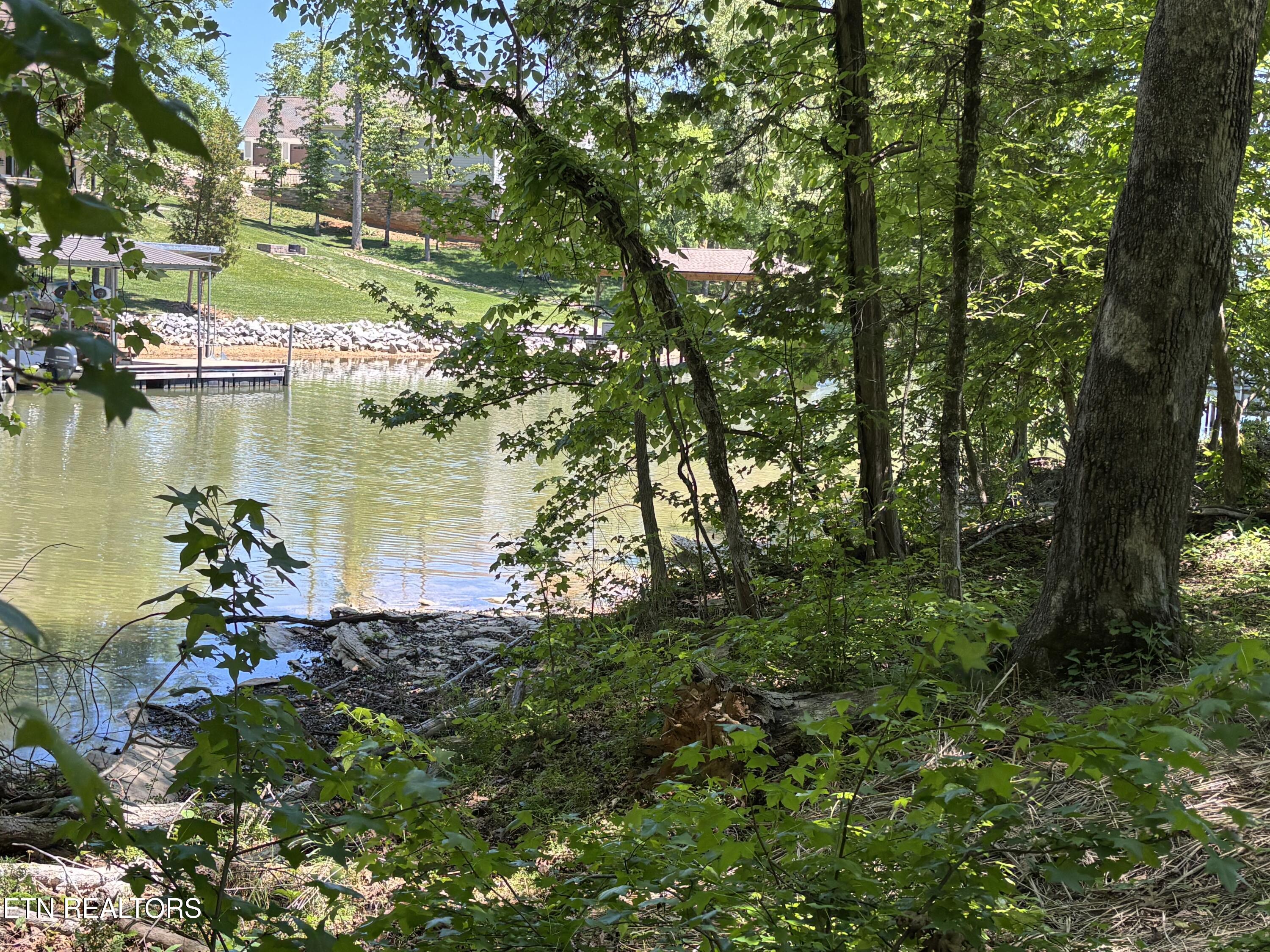E Shore Drive Rockwood TN 37854
