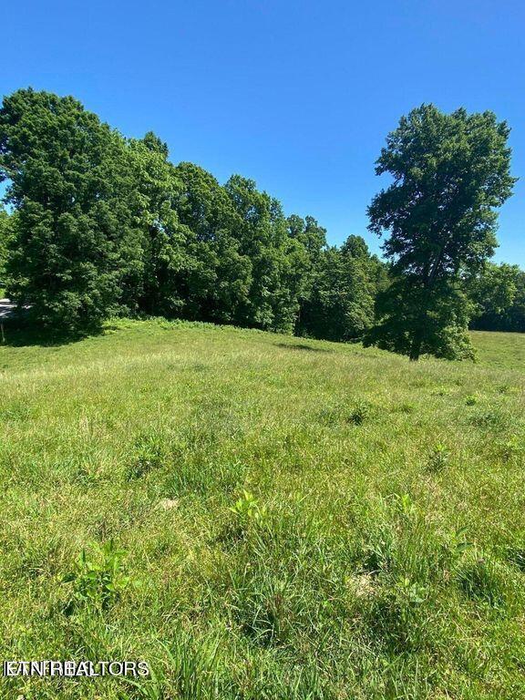 Lot 2 Chapman Road Lafollette TN 37766
