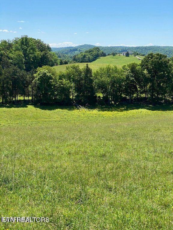 Lot 2 Chapman Road Lafollette TN 37766