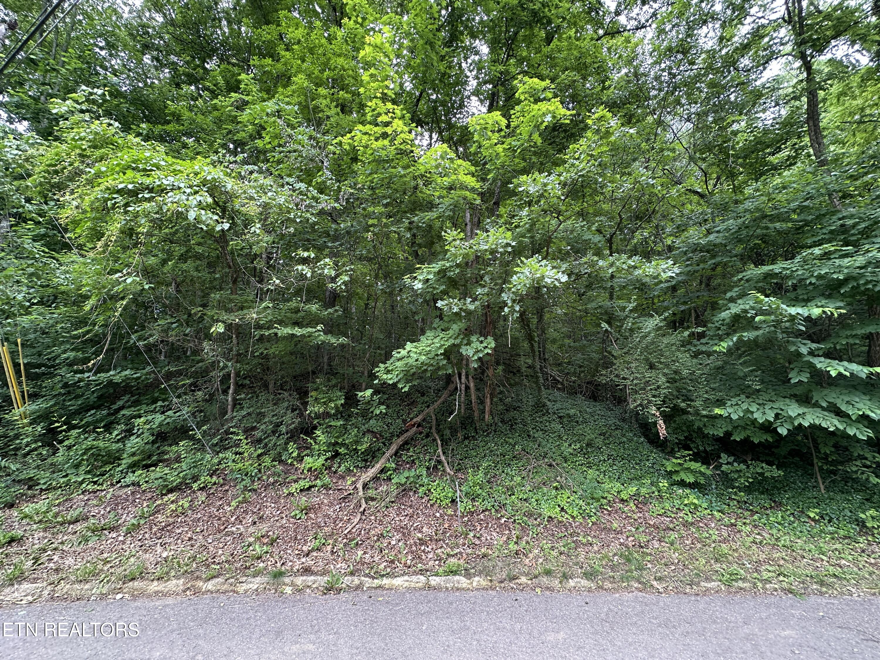 6834 Reddege Road Knoxville TN 37918