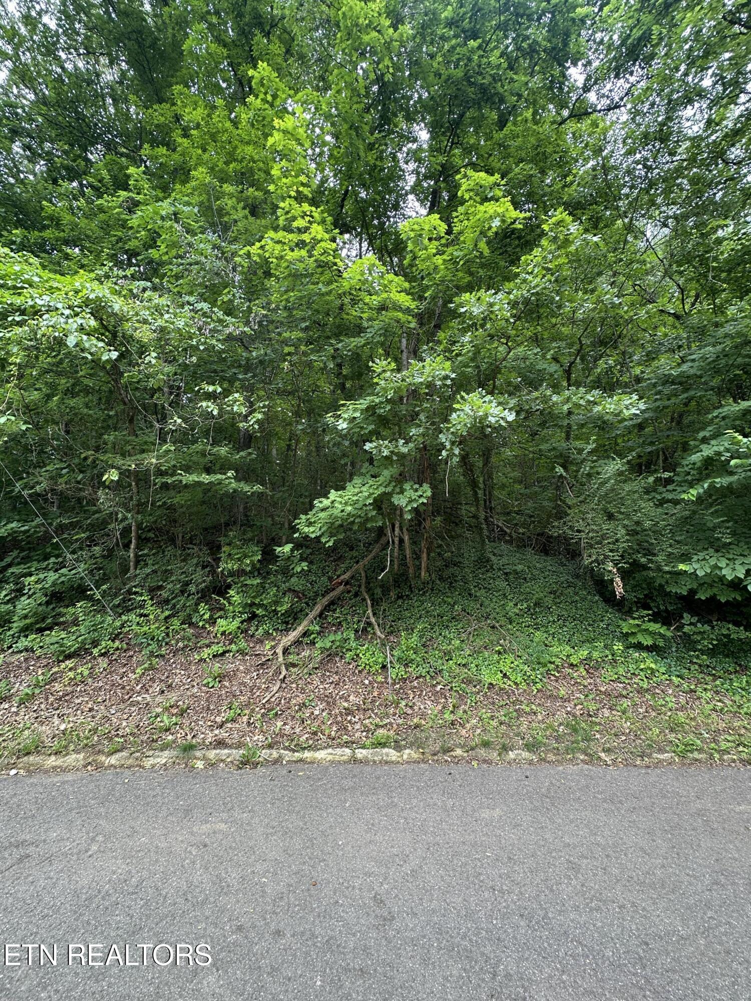 6834 Reddege Road Knoxville TN 37918