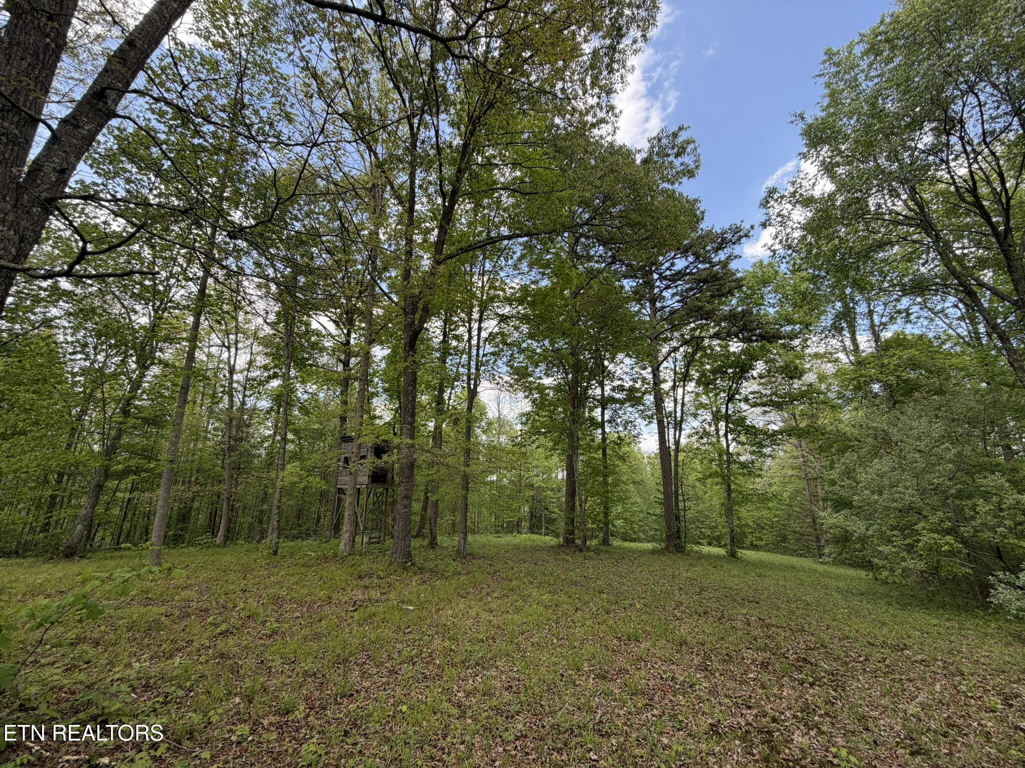 0 Scott Highway Helenwood TN 37755