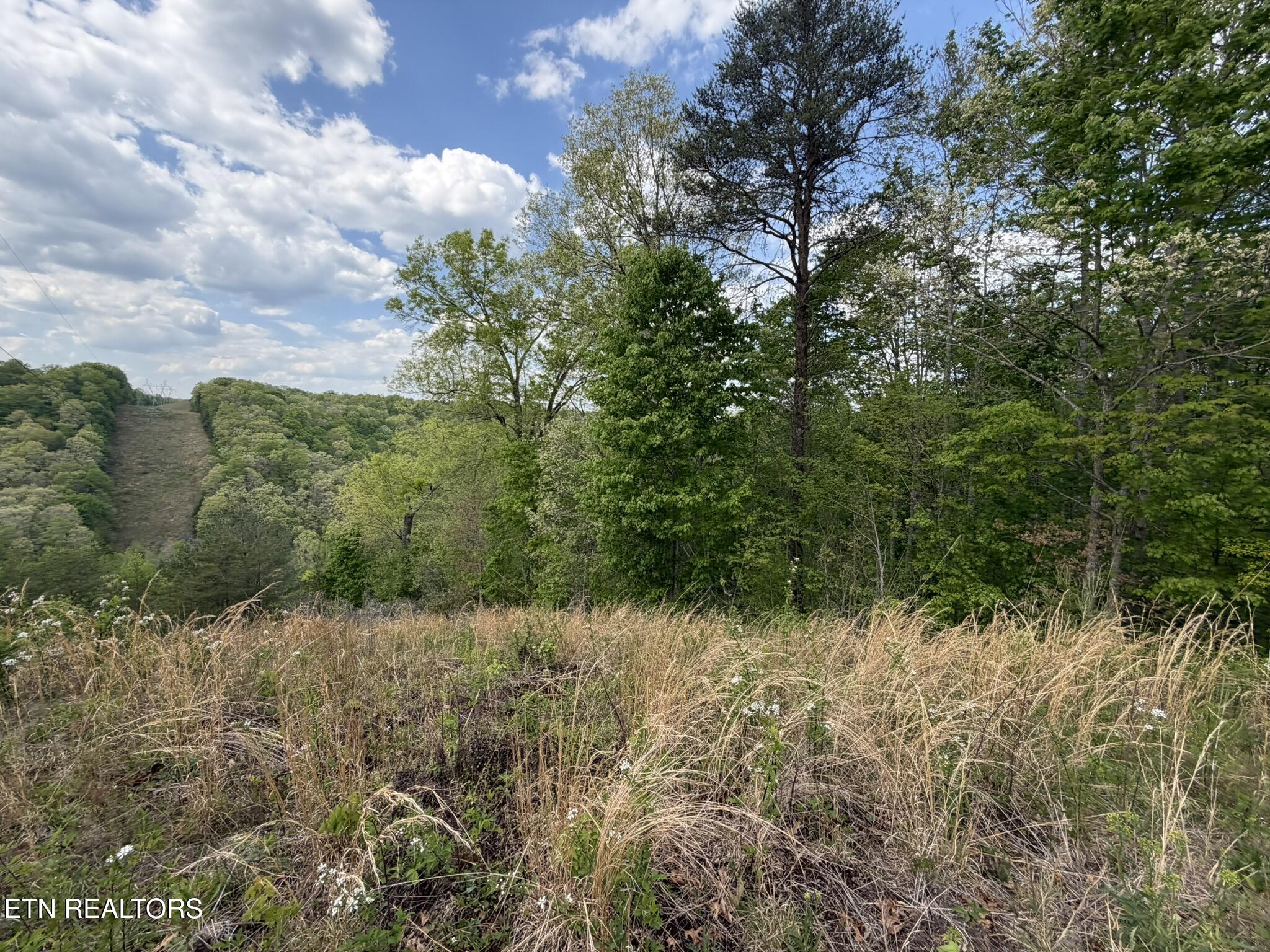 0 Scott Highway Helenwood TN 37755