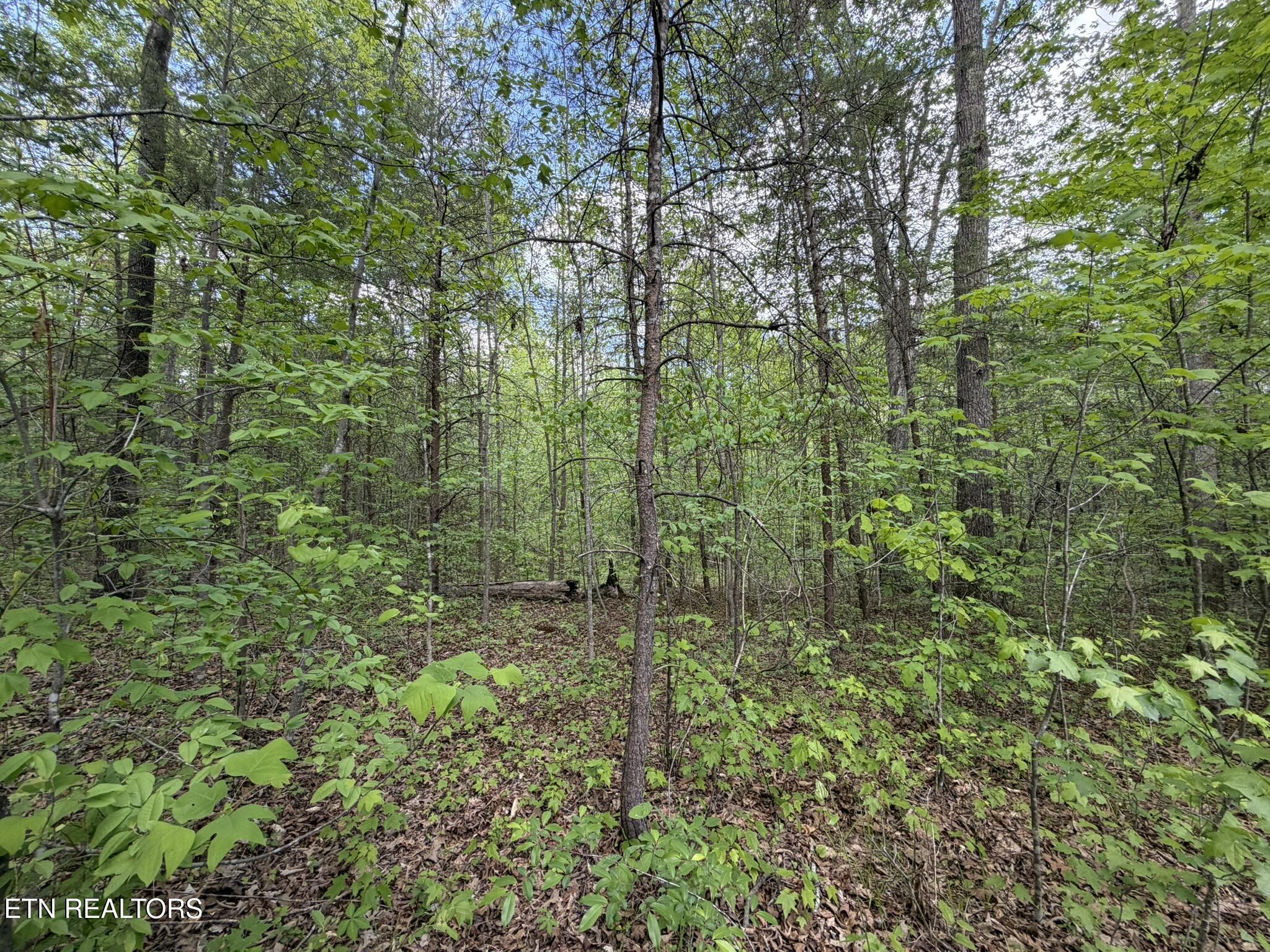 0 Scott Highway Helenwood TN 37755