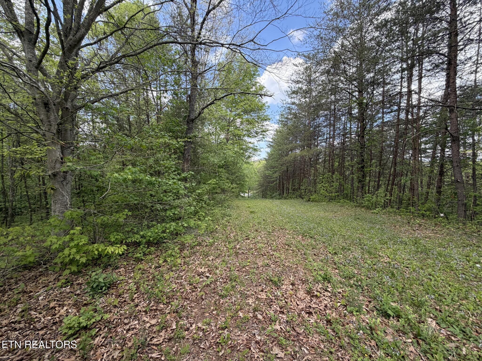0 Scott Highway Helenwood TN 37755