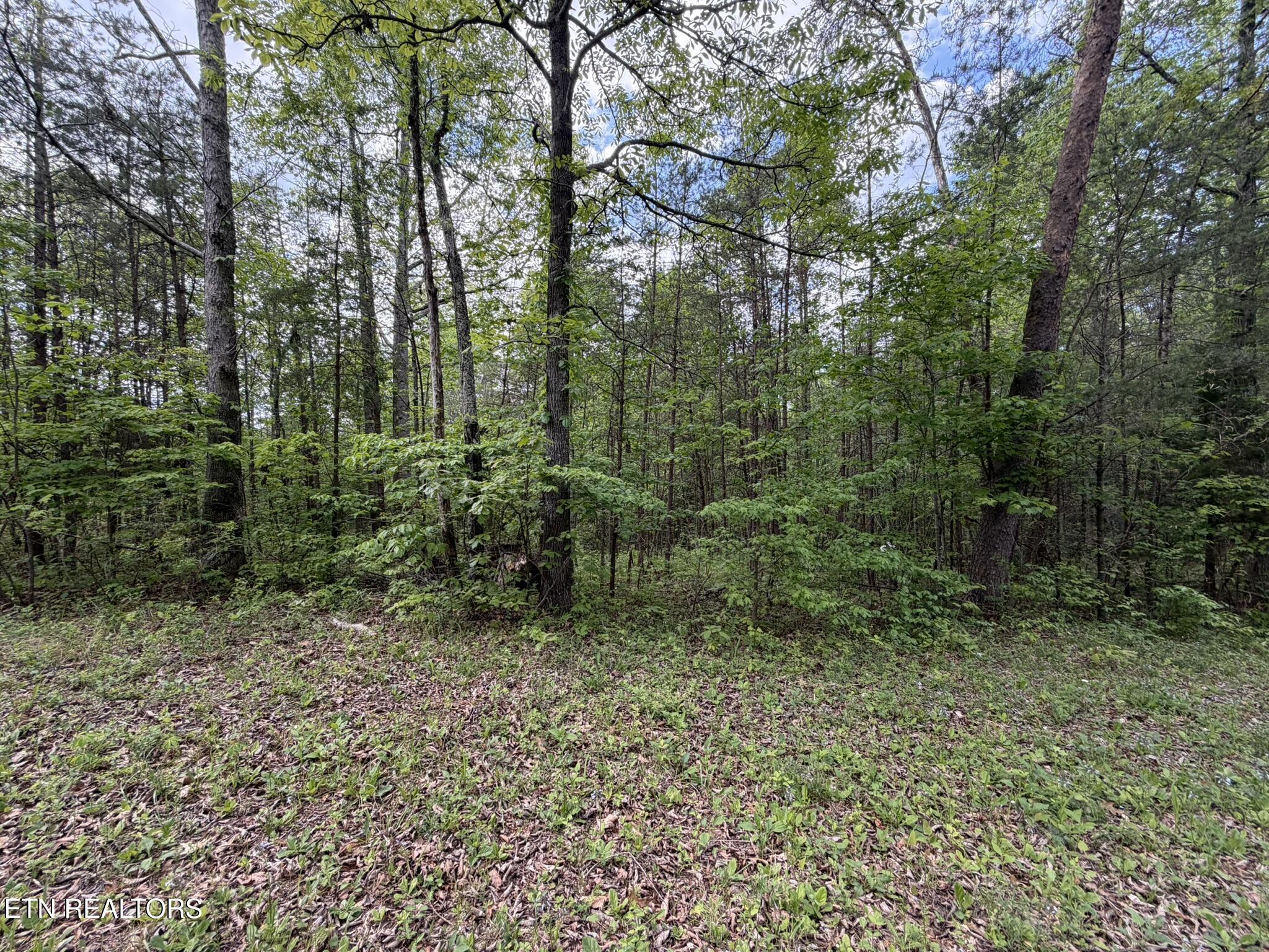 0 Scott Highway Helenwood TN 37755