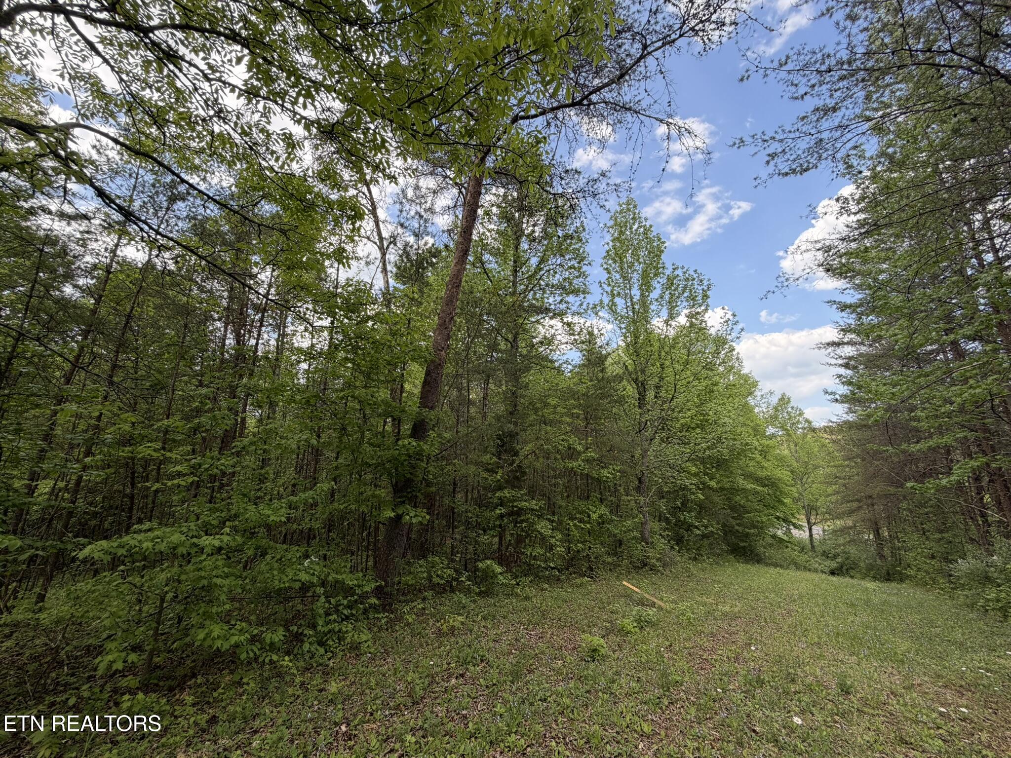 0 Scott Highway Helenwood TN 37755