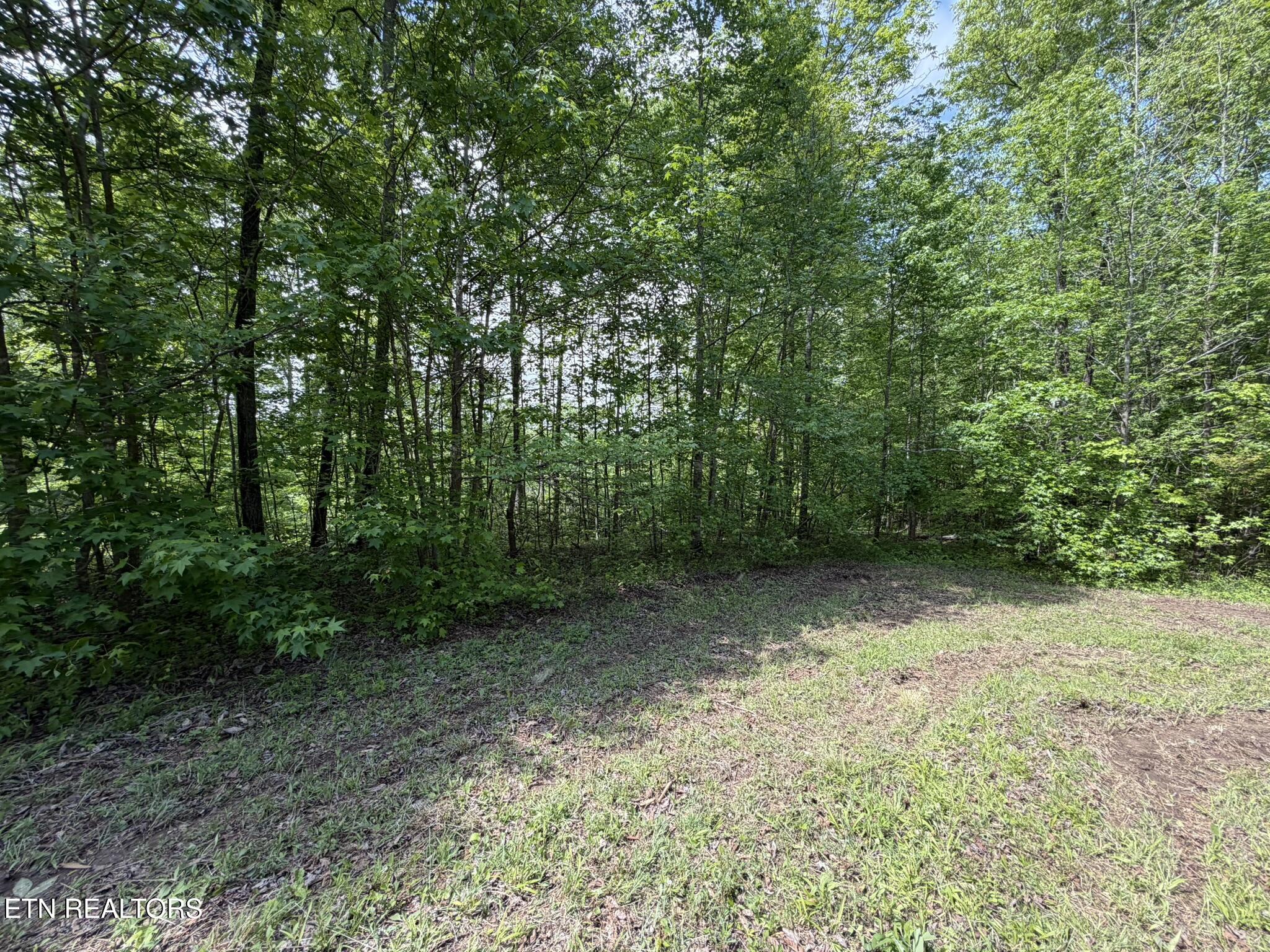 0 Scott Highway Helenwood TN 37755