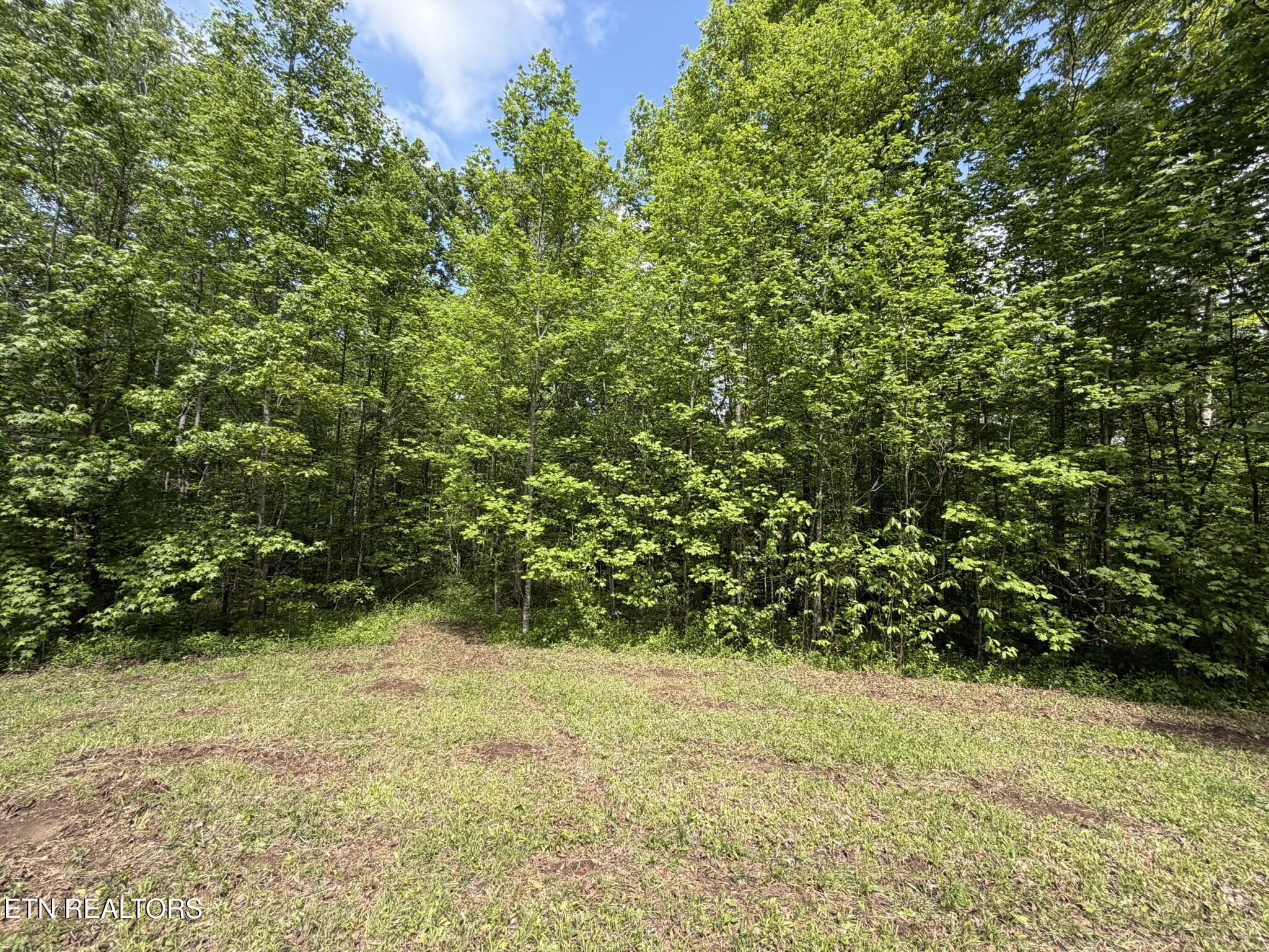 0 Scott Highway Helenwood TN 37755