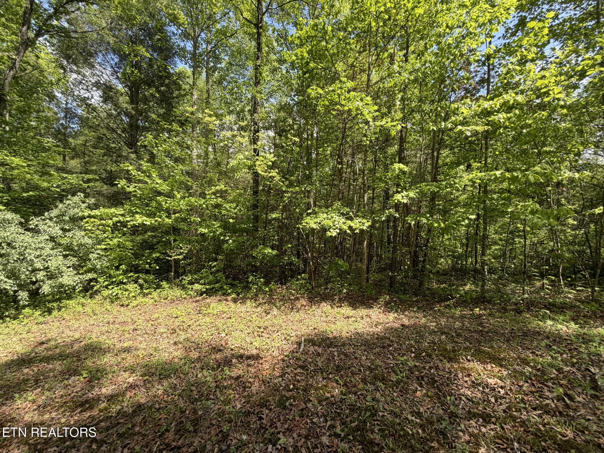 0 Scott Highway Helenwood TN 37755