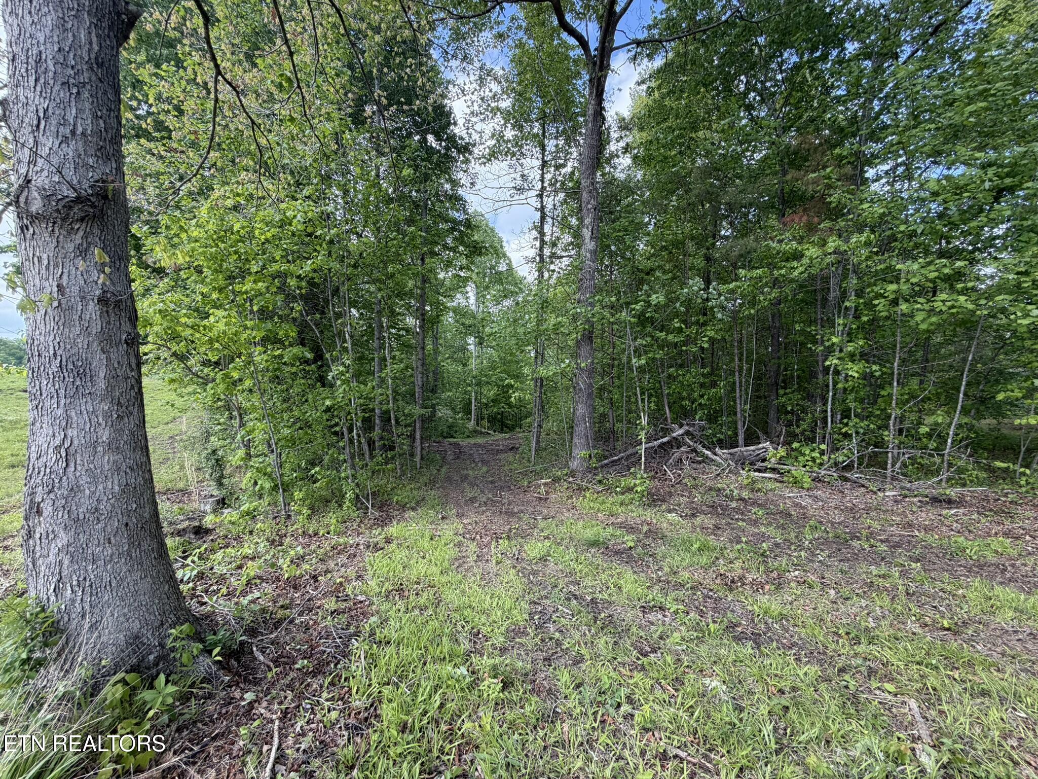 0 Scott Highway Helenwood TN 37755