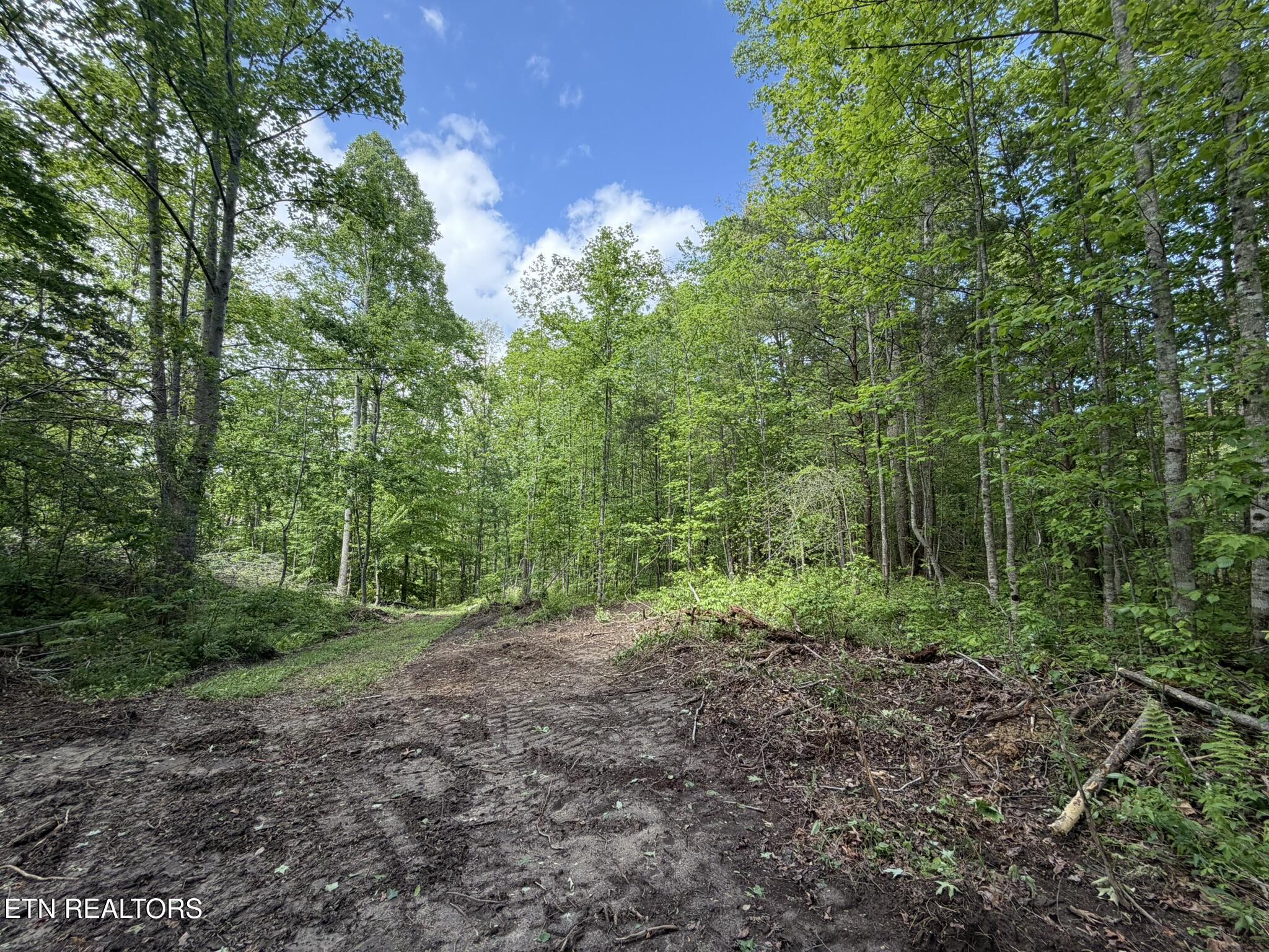 0 Scott Highway Helenwood TN 37755