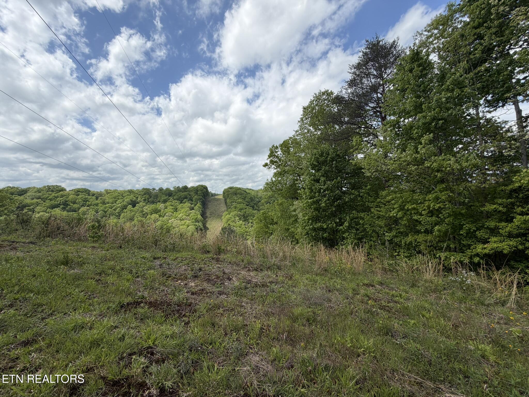 0 Scott Highway Helenwood TN 37755