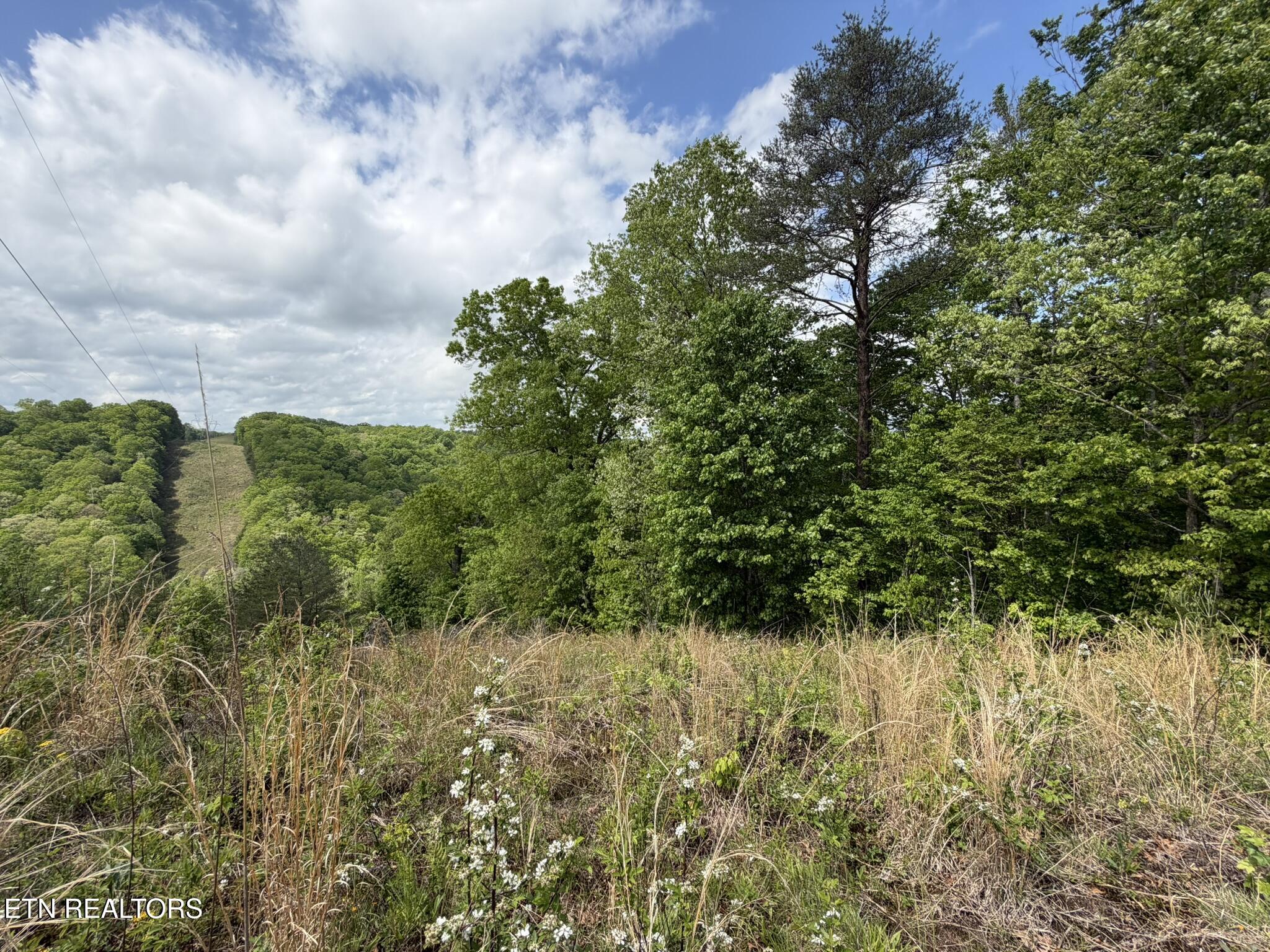 0 Scott Highway Helenwood TN 37755
