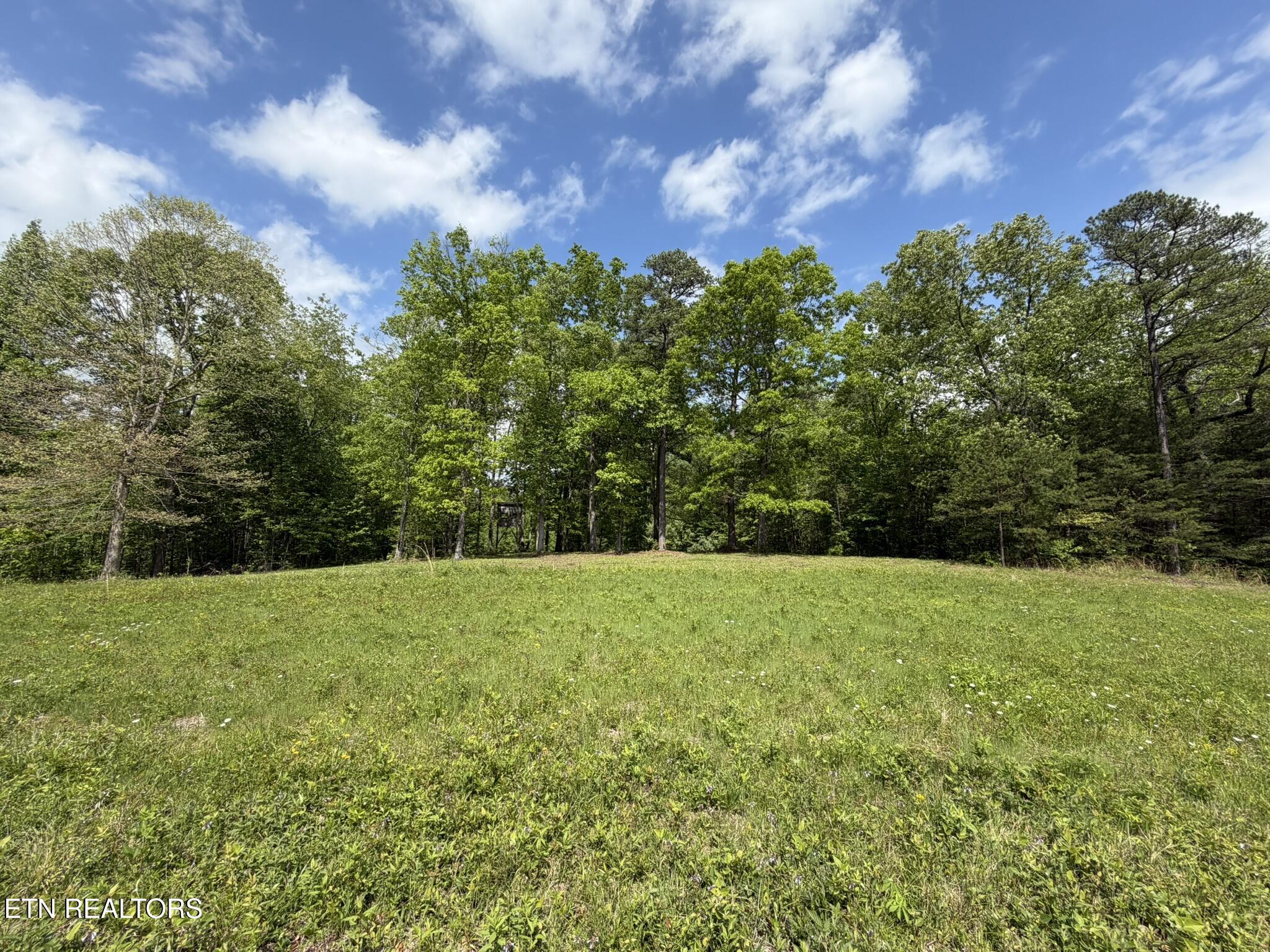 0 Scott Highway Helenwood TN 37755