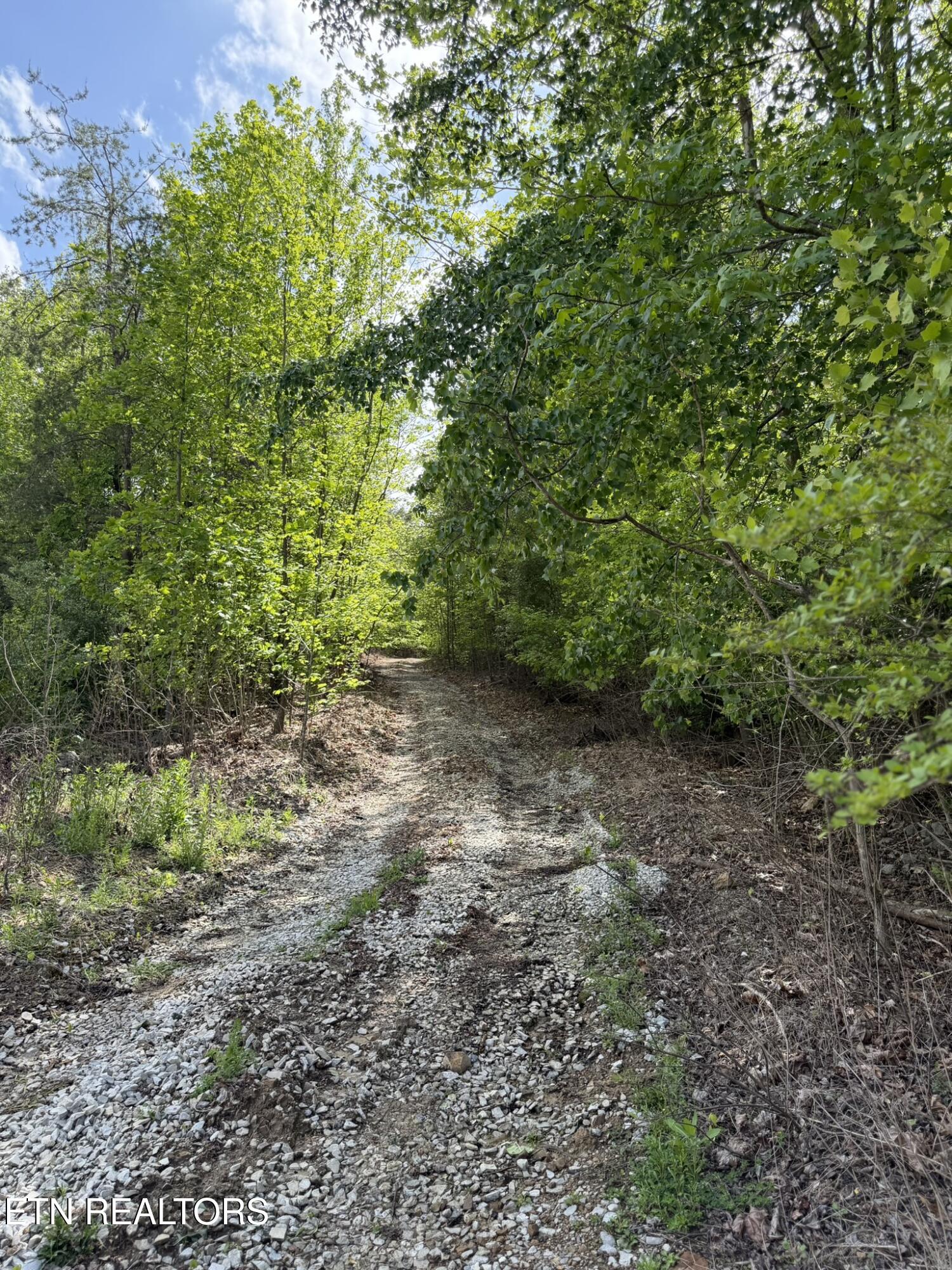 0 Scott Highway Helenwood TN 37755