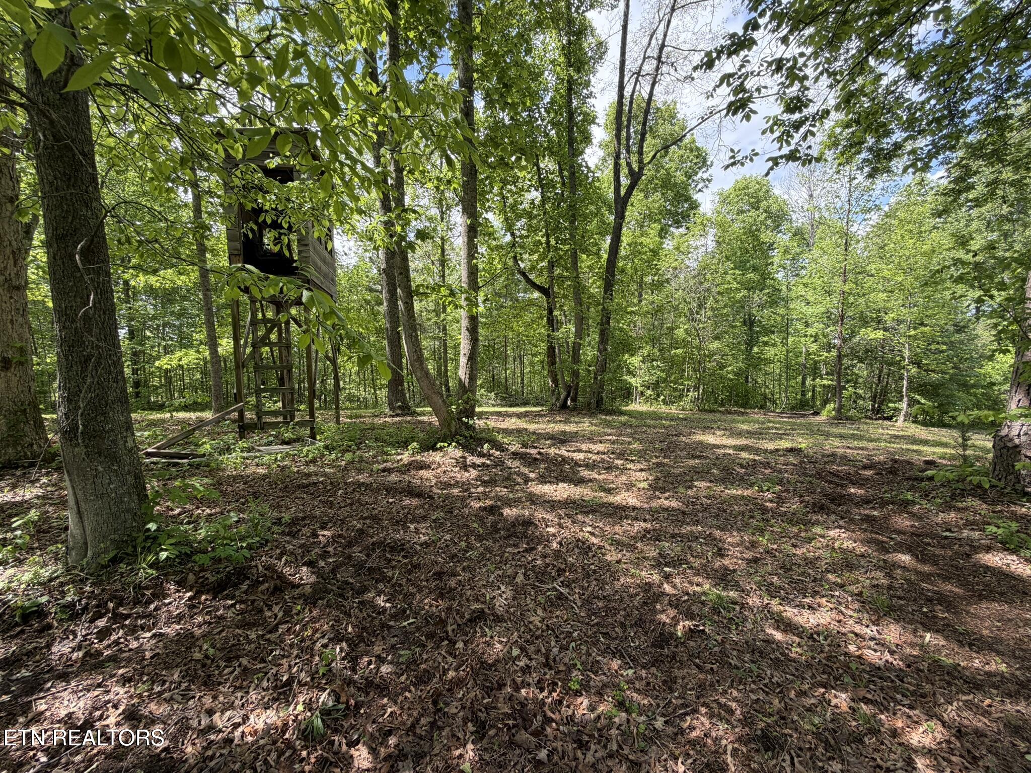 0 Scott Highway Helenwood TN 37755