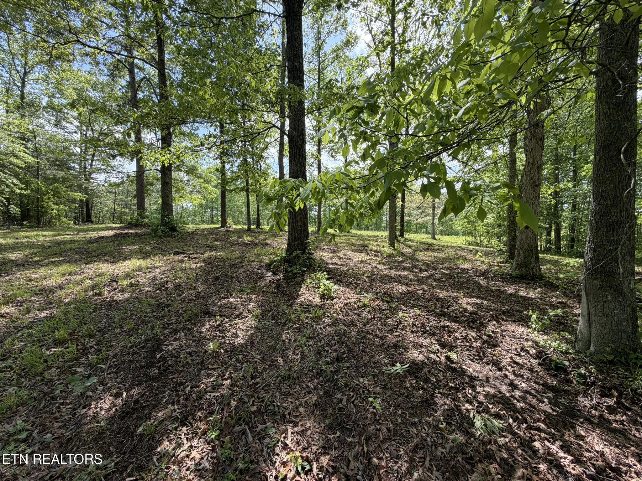 0 Scott Highway Helenwood TN 37755