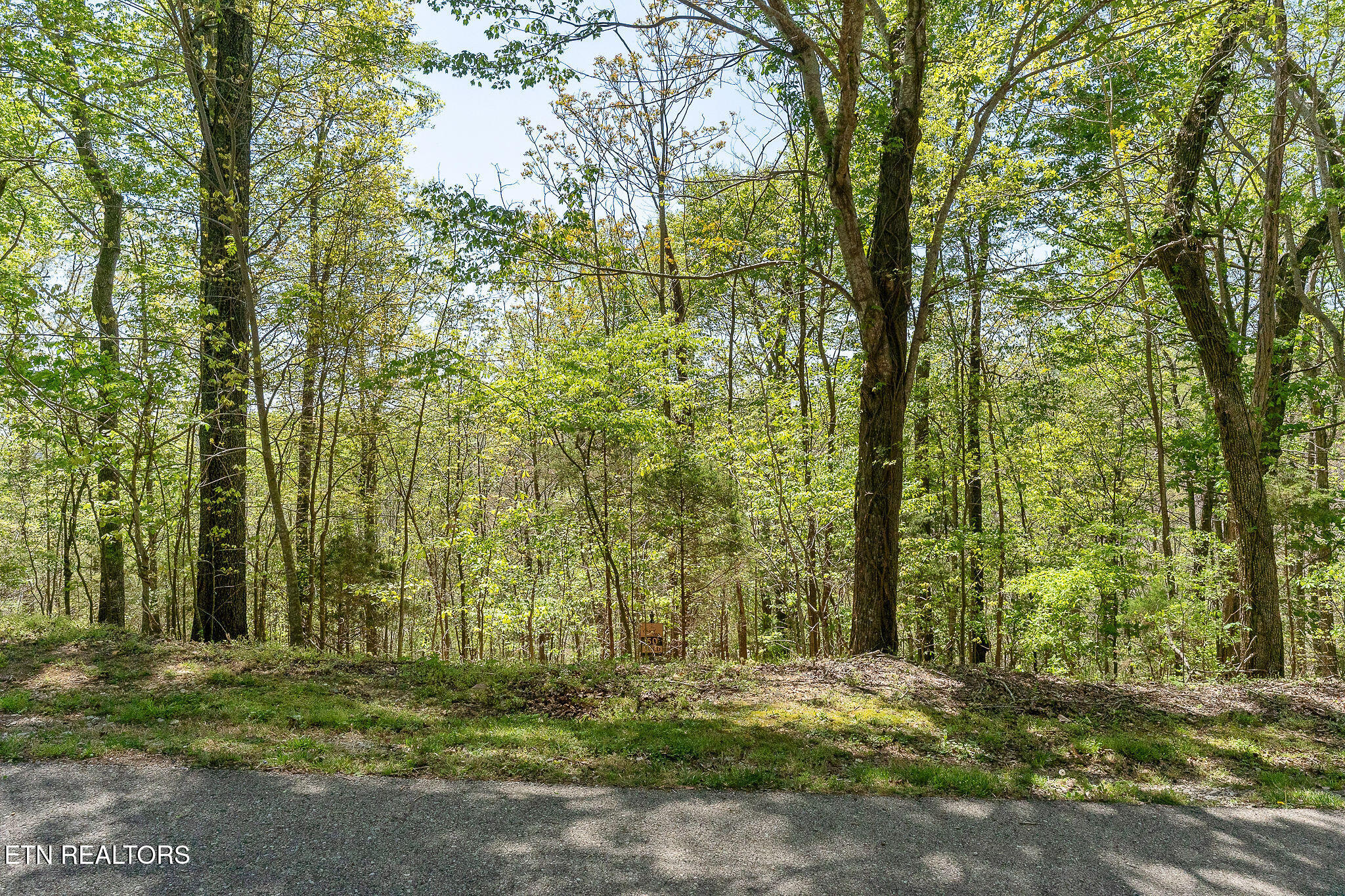 Coventry Way Smithville TN 37166