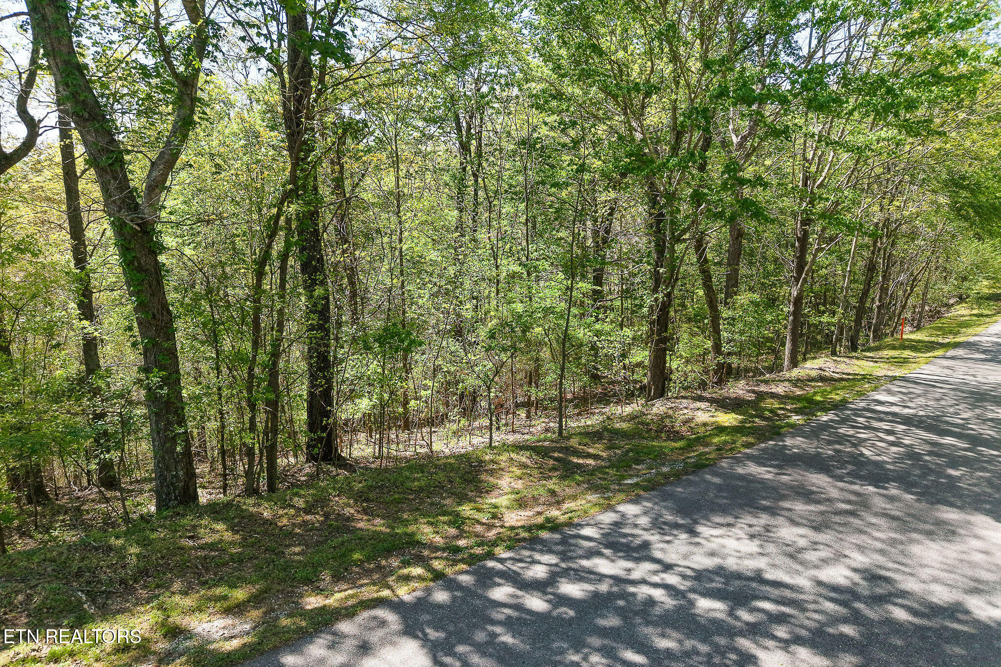 Coventry Way Smithville TN 37166