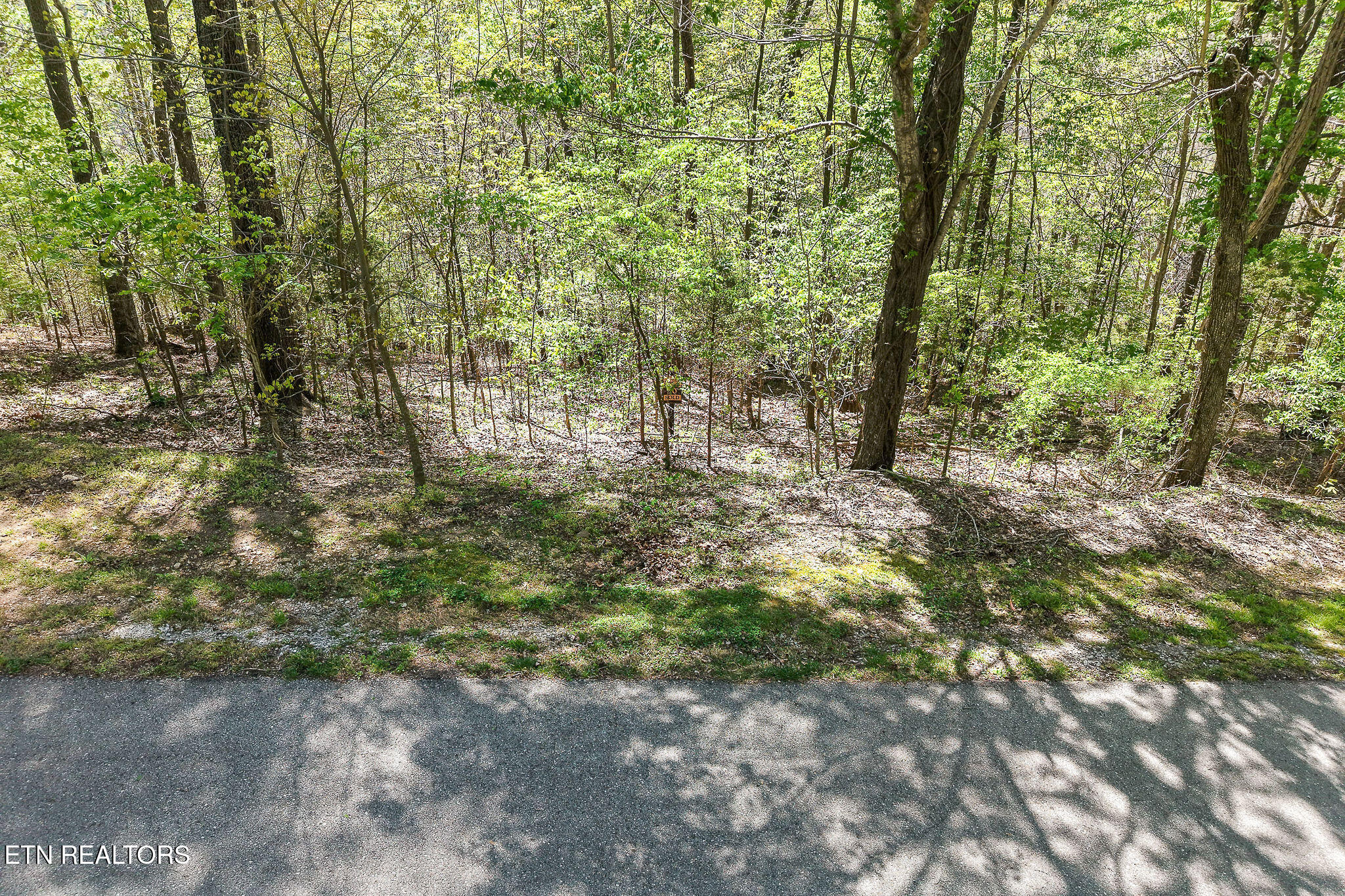 Coventry Way Smithville TN 37166